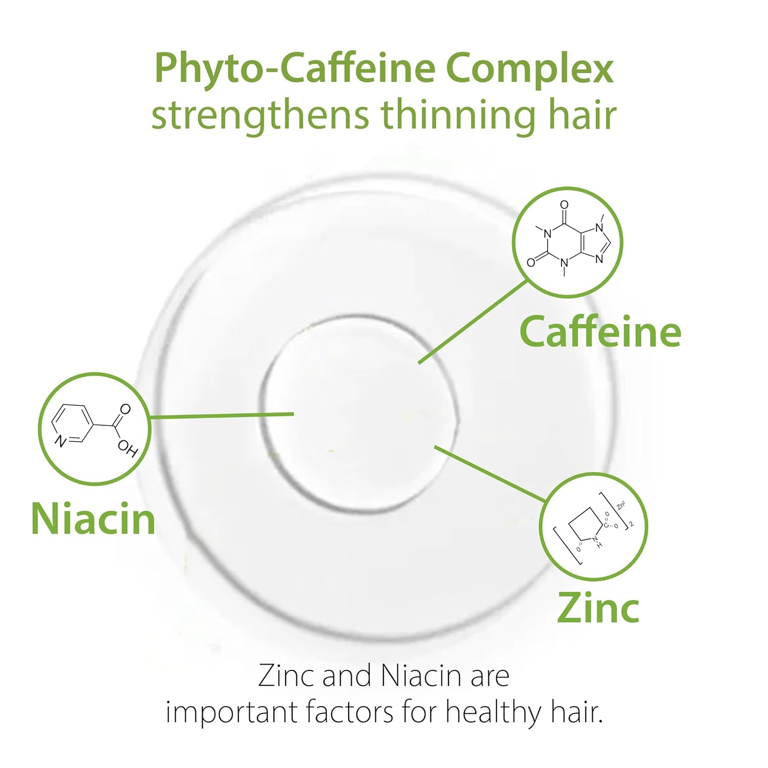 Plantur 39 Phyto-Caffeine Women's 3-Step System for Colored, Stressed Hair - Shampoo (8.45 fl), Conditioner (5.07 fl), Tonic (6.76 fl) - Image 5