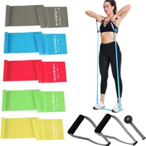 Professional Resistance Bands. Latex-Free, Work Out Bands, Stretch Bands for Working Out Women or Men, Exercise Bands Set for Physical Therapy (Colour Set (5-30lbs) - Includes Accessories)