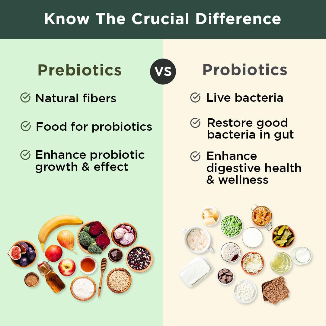 BB Company Previtalize | Prebiotics for Women, Prebiotic Fiber for Gut Health, Digestive Health | Food for Good Probiotics | Complement to Probiotics & Provitalize | Packaging Vary | 60 Ct - Image 7