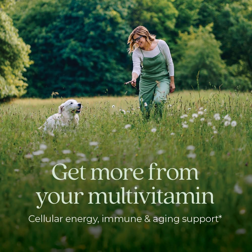 New Chapter Women’s Multivitamin 40+, extra B6 & B12, Biotin for Hair Growth, D3, Vit C, Zinc for Immune & Stress Support, Gentle on an Empty Stomach, One Daily, Non-GMO, Gluten-Free, 72 Tablets - Image 2