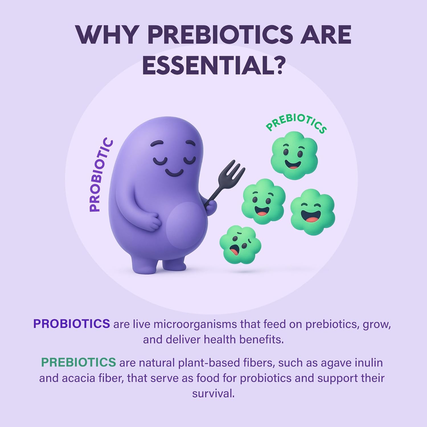 Probiotics for Women 50 Billion CFU - Vaginal Probiotics Clinically Proven for Yeast & pH Balance - Digestion & Bloating Relief - 8 Strains + Prebiotics - Delay Release - Made in USA, 60 Capsules - Image 9