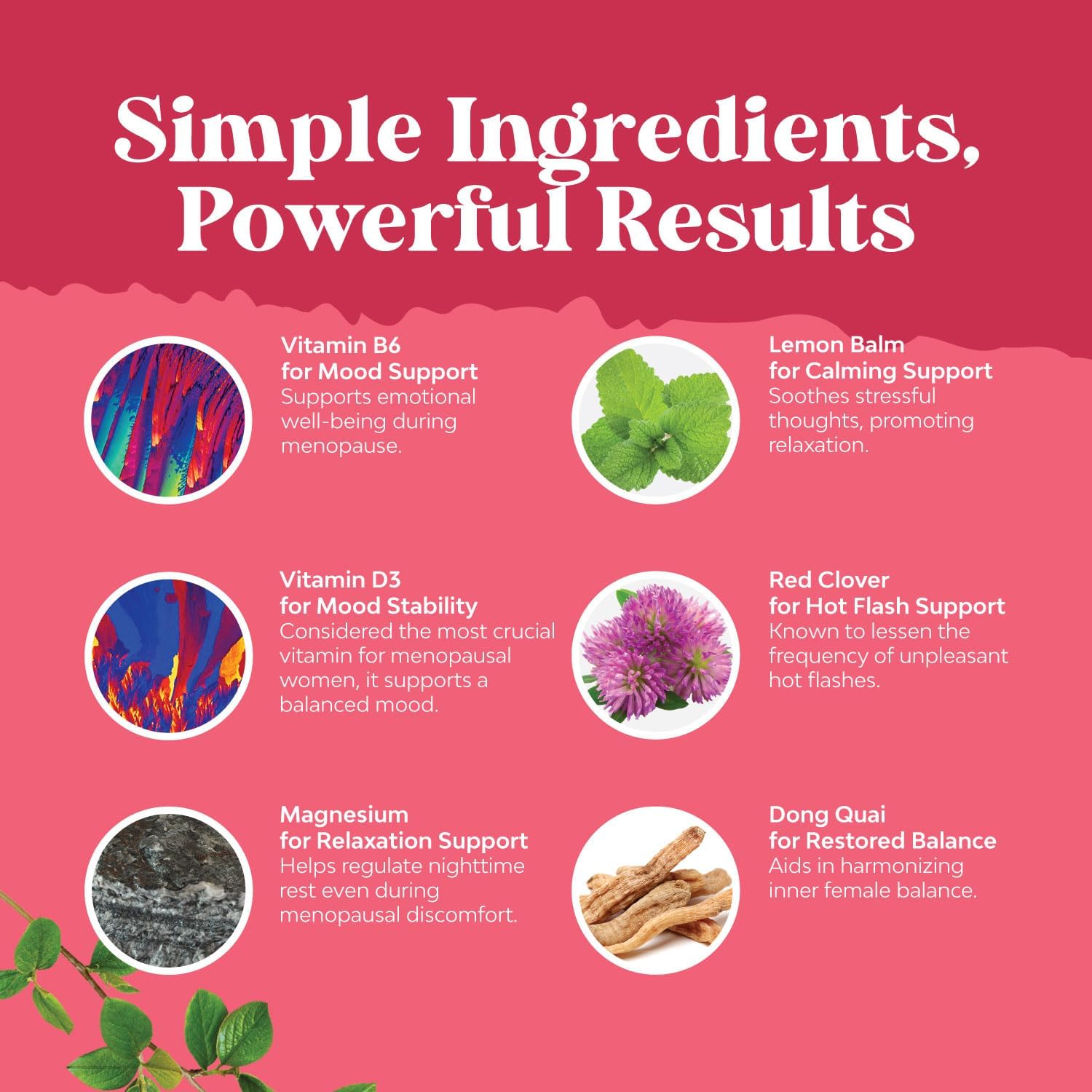 Natures Craft Complete Herbal Menopause Supplement for Women - Female Hormone Balance Capsules for Night Sweats Hot Flashes & Mood Swings with Dong Quai, Chaste Berry & Black Cohosh Root - 120 Count - Image 7