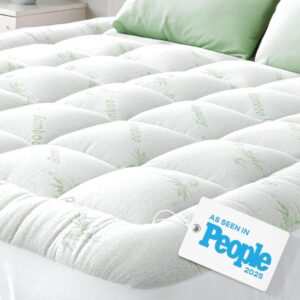 Niagara Ultra Soft Queen Size Mattress Topper - Viscose Made from Bamboo Pillow Top Mattress Pad for Back Pain Relief - Naturally Cooling for Hot Sleepers, fits 6-18" Mattress, 600GSM, Green