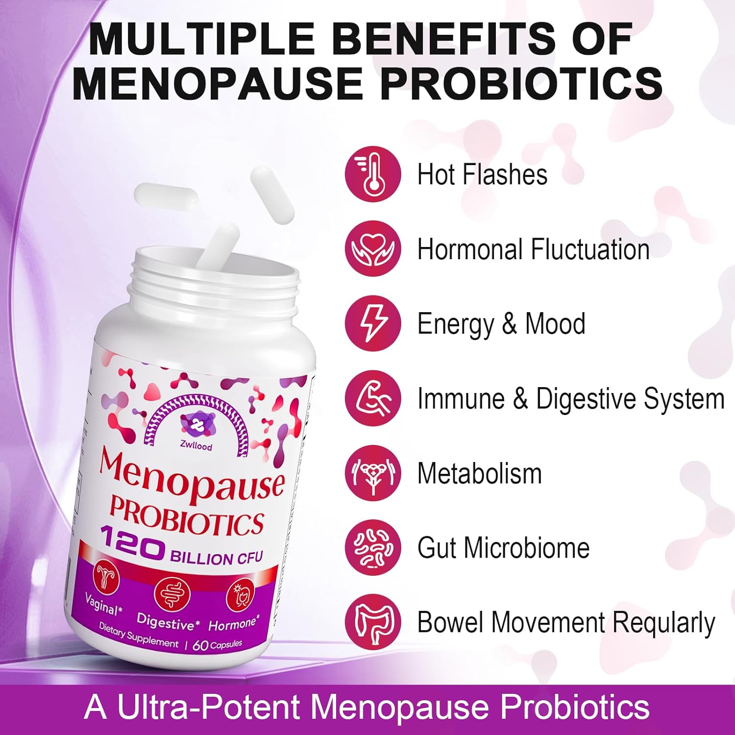 Menopause Supplements for Women, 120 Billion CFU Menopause Probiotics for Women, All-Natural Probiotic for Hot Flashes Menopause, Night Sweats, Mood Swings, Gut and Hormone - 60 Herbal Capsules - Image 3