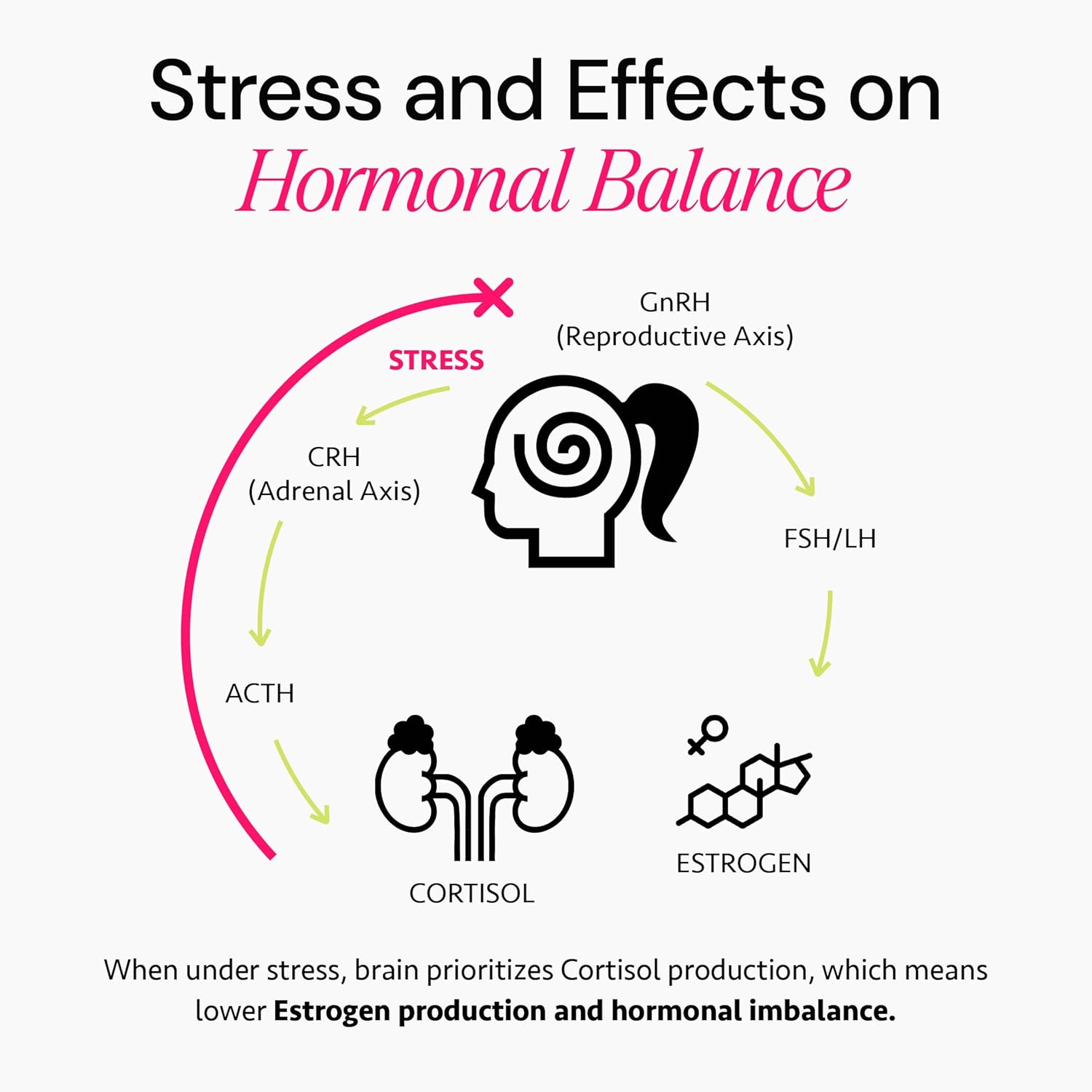 Ayurvedic Hormone Balance for Women | Cortisol Reducer | Mood, Energy, & Sleep Support | Regulates Estrogen | Stress Relief | Ashwagandha, Rhodiola, & Shatavari | Made in USA | 60 Ct. - OSH Wellness - Image 9