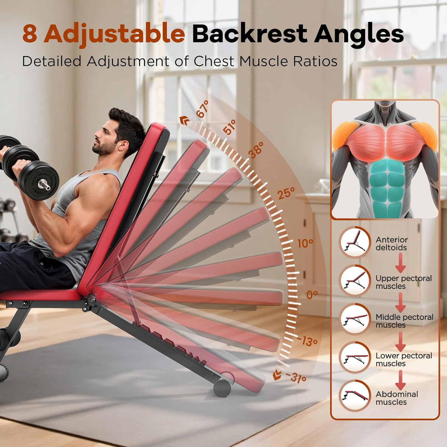 NICEPEOPLE Adjustable Weight Bench for Home Gym, 660LBS Capacity Workout Bench with 8 Backrests for Chest Shoulders Arms, Compact and Foldable Strength Bench for Small Space Apartment Room - Image 3