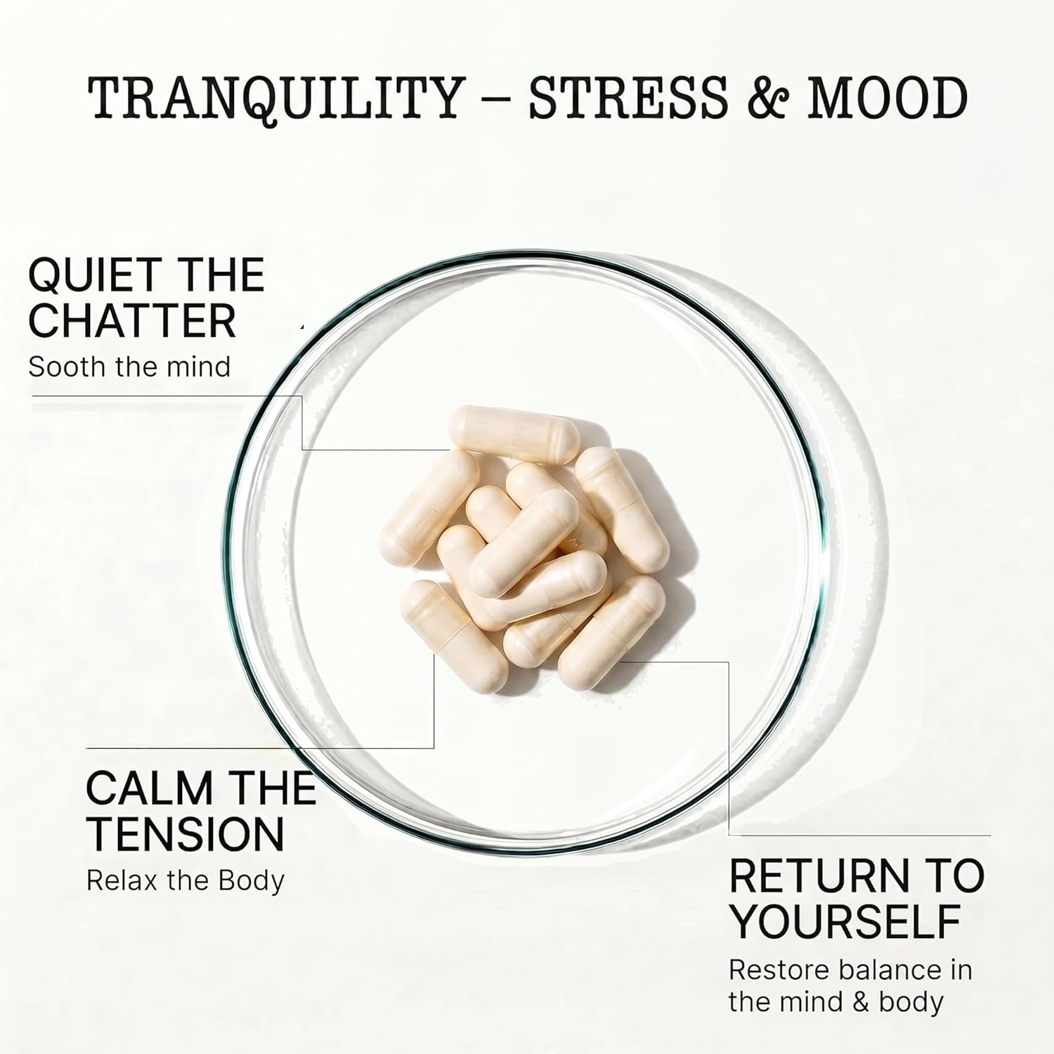 Zenium Stress Relief Supplement Supports Mood & Mental Focus - Feel Calm and Relaxed - Eases Tension & Nervousness - Ashwagandha, Magnesium & L-Theanine - Great for Gift Items - 60 Capsules - Image 2