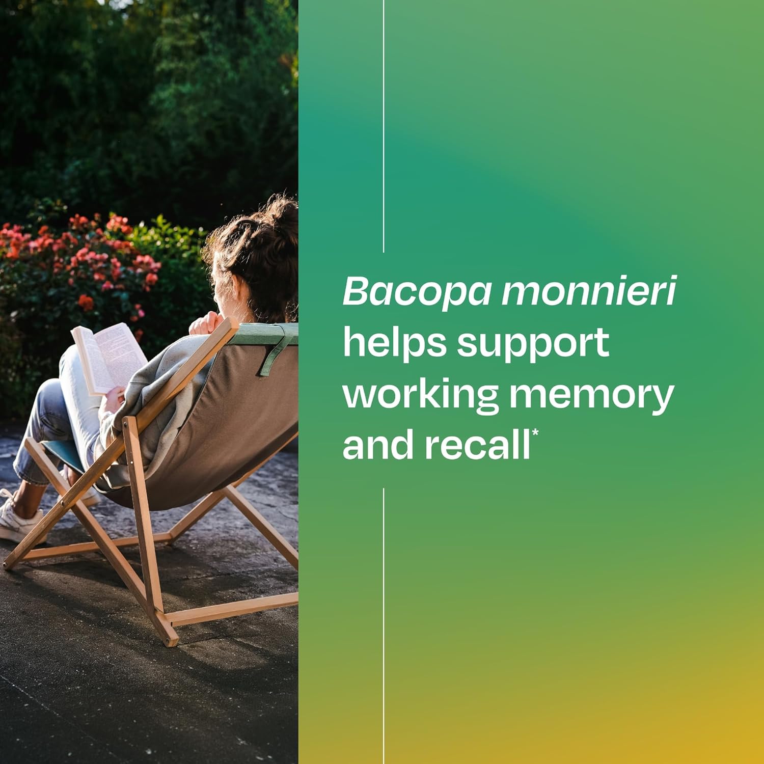 Amberen Find Focus, Menopause Supplement for Women, Clinically Proven Bacopa monnieri supports Mental Clarity, Focus, Cognition, Working Memory & Recall, Hormone & Soy Free, 60 Capsules, 30 Day Supply - Image 6
