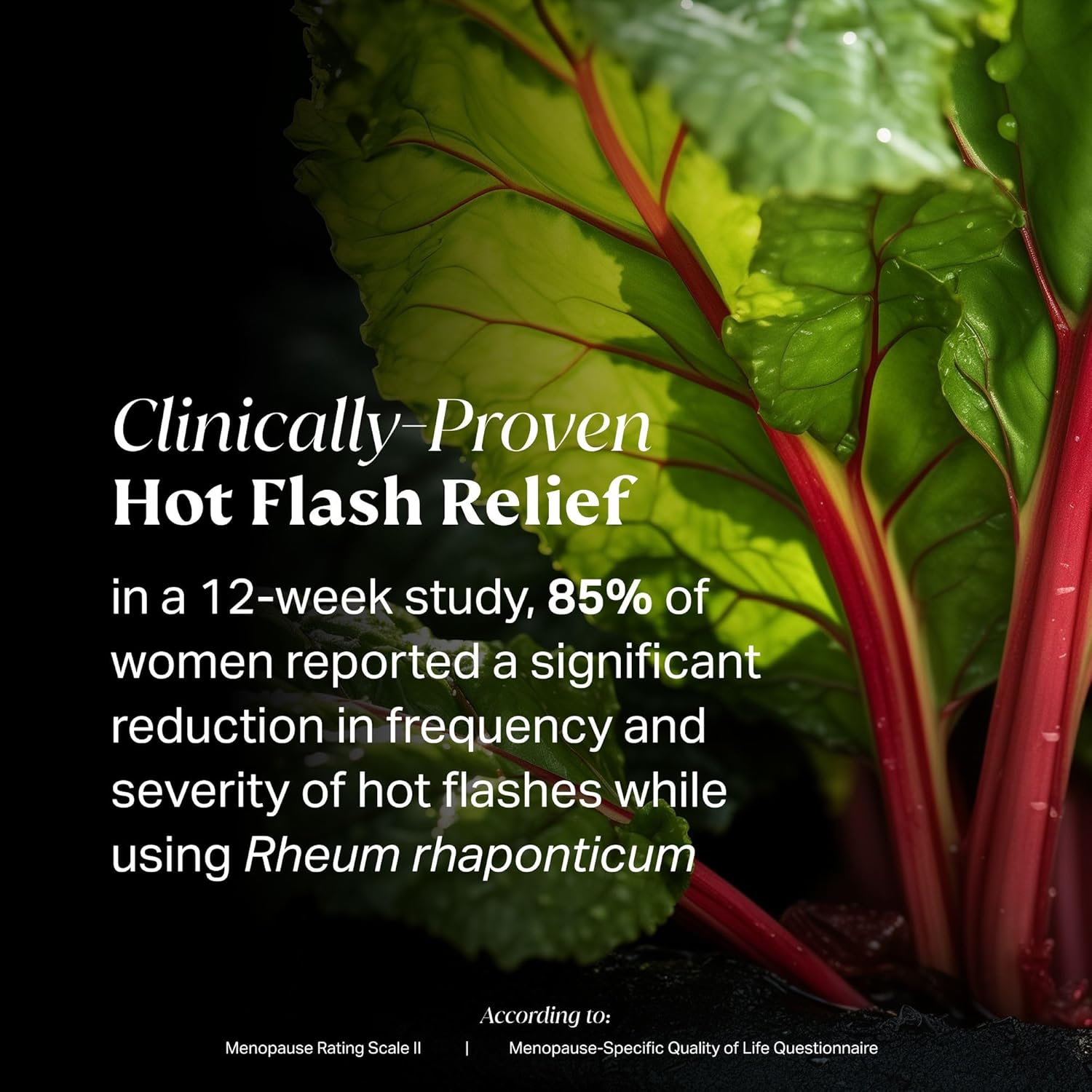 Clinically Proven Menopause Supplement for Weight Management, Hot Flashes, Night Sweats and Low Energy | Complete Multi-Symptom Menopause Supplement for Women - Image 3