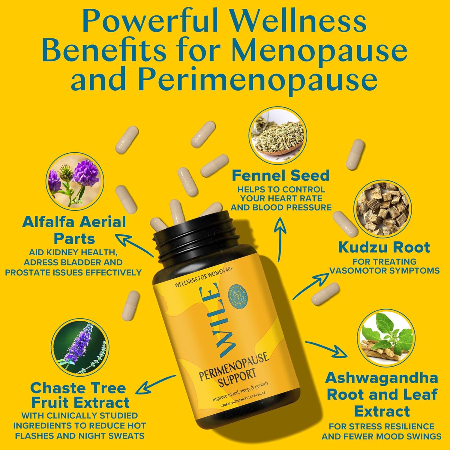 WILE Menopause and Perimenopause Supplements for Women with Ashwagandha - Menopausal Symptoms Relief for Stress, Hot Flashes, Night Sweats - Healthy Sleep & Hormone Balance Support, Vegan, 30 Servings - Image 2