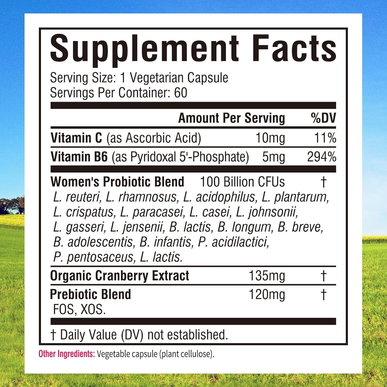 Innate Vitality Probiotics for Women, 100 Billion CFUs 18 Strains, Prebiotics and Probiotics, with Cranberry, Vitamin C & B6 P5P, Vaginal & Digestive Health, Non refrigerated, 60 Caps - Image 2