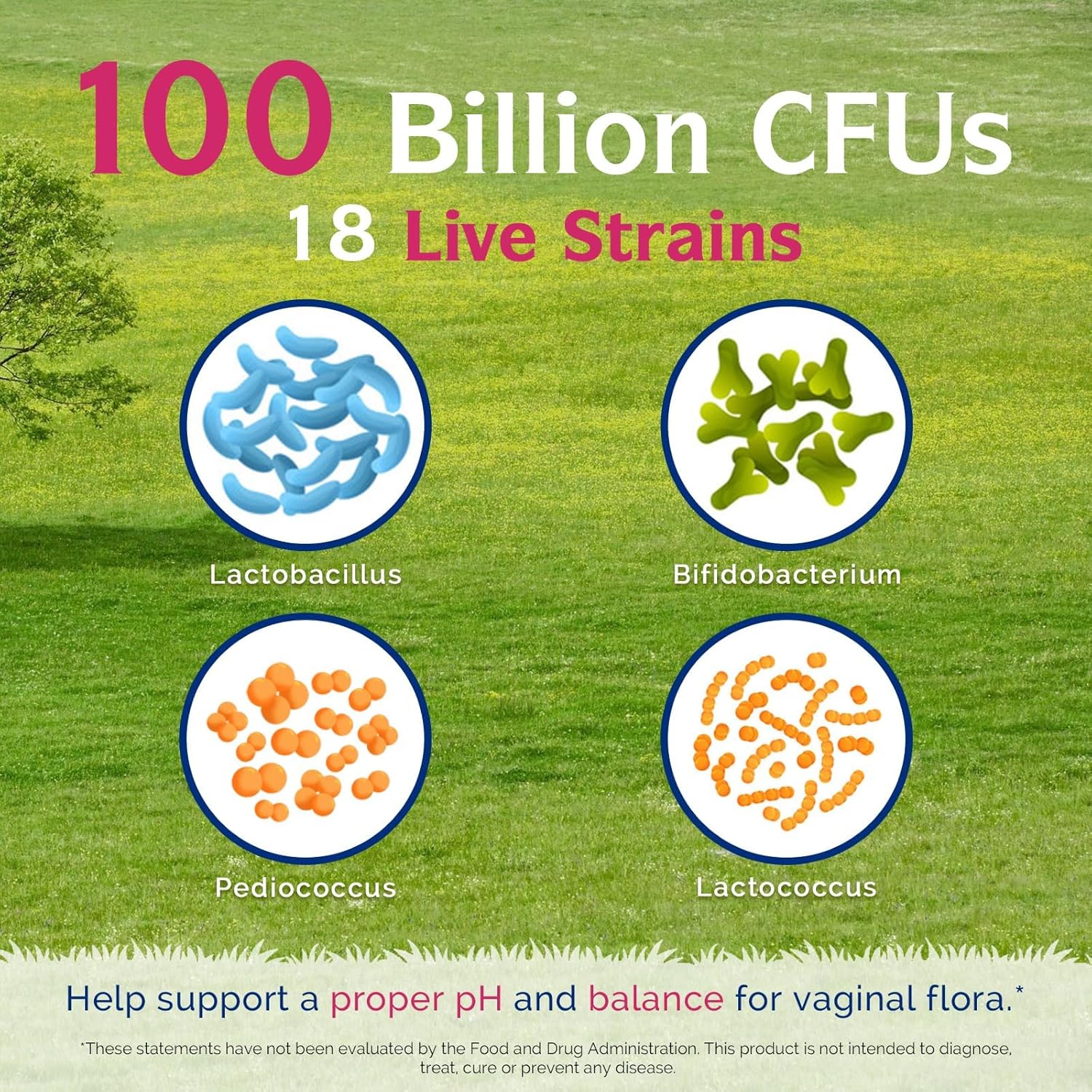 Innate Vitality Probiotics for Women, 100 Billion CFUs 18 Strains, Prebiotics and Probiotics, with Cranberry, Vitamin C & B6 P5P, Vaginal & Digestive Health, Non refrigerated, 60 Caps - Image 3