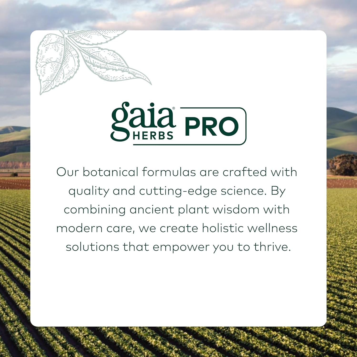 Gaia Herbs Pro Female Hormone Formula PM - Women's Health Supplement for Menopause & Sleep Support - Black Cohosh & St. John's Wort - Vegan, Soy-Free & Gluten-Free - 60 Liquid Phyto-Caps (30 Servings) - Image 7