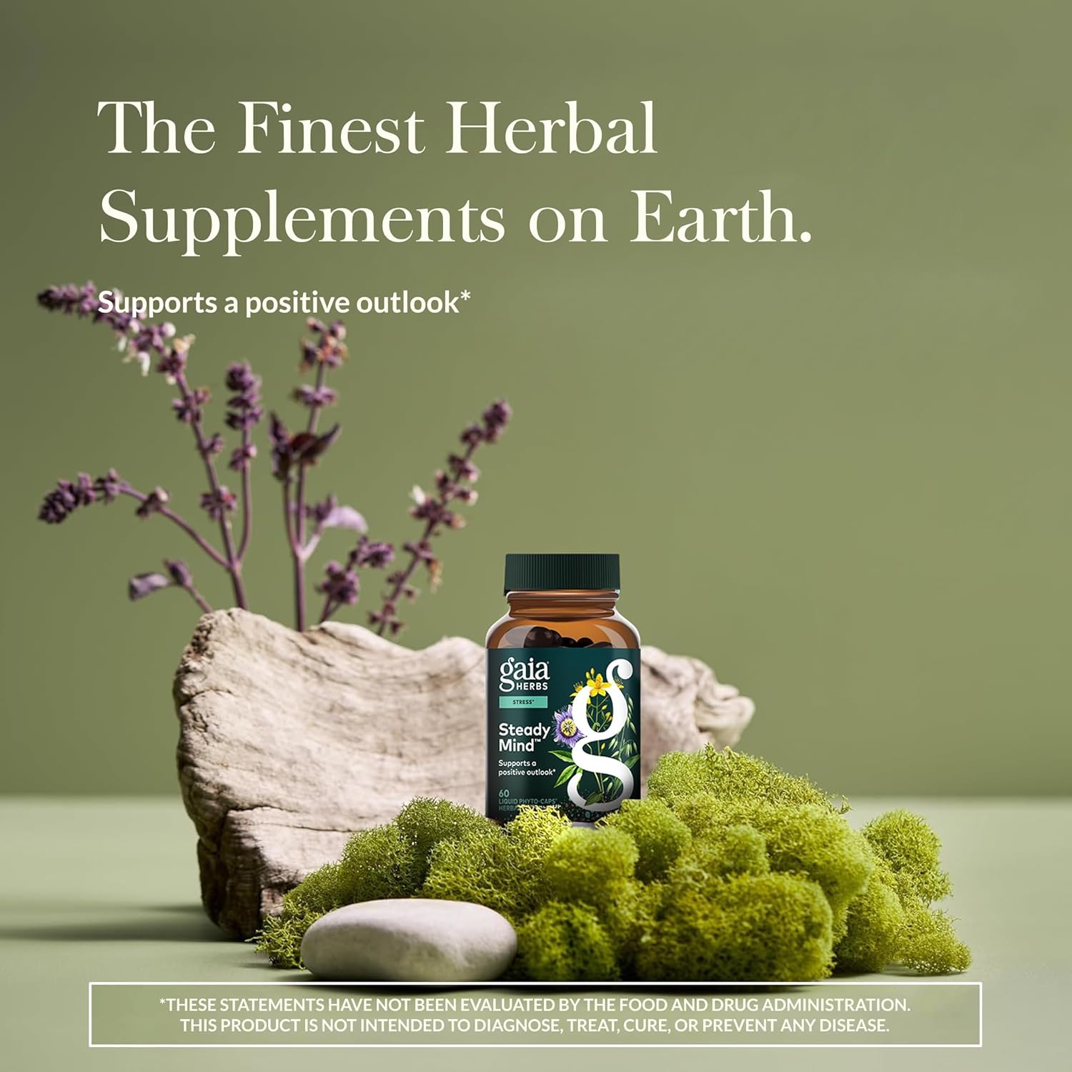 Gaia Herbs Steady Mind - Supplement Support with Herbs Traditionally Used for Stress Relief* - with St. John's Wort, Passionflower, Vervain & Oats - 60 Vegan Liquid Phyto-Capsules (60 Servings) - Image 2