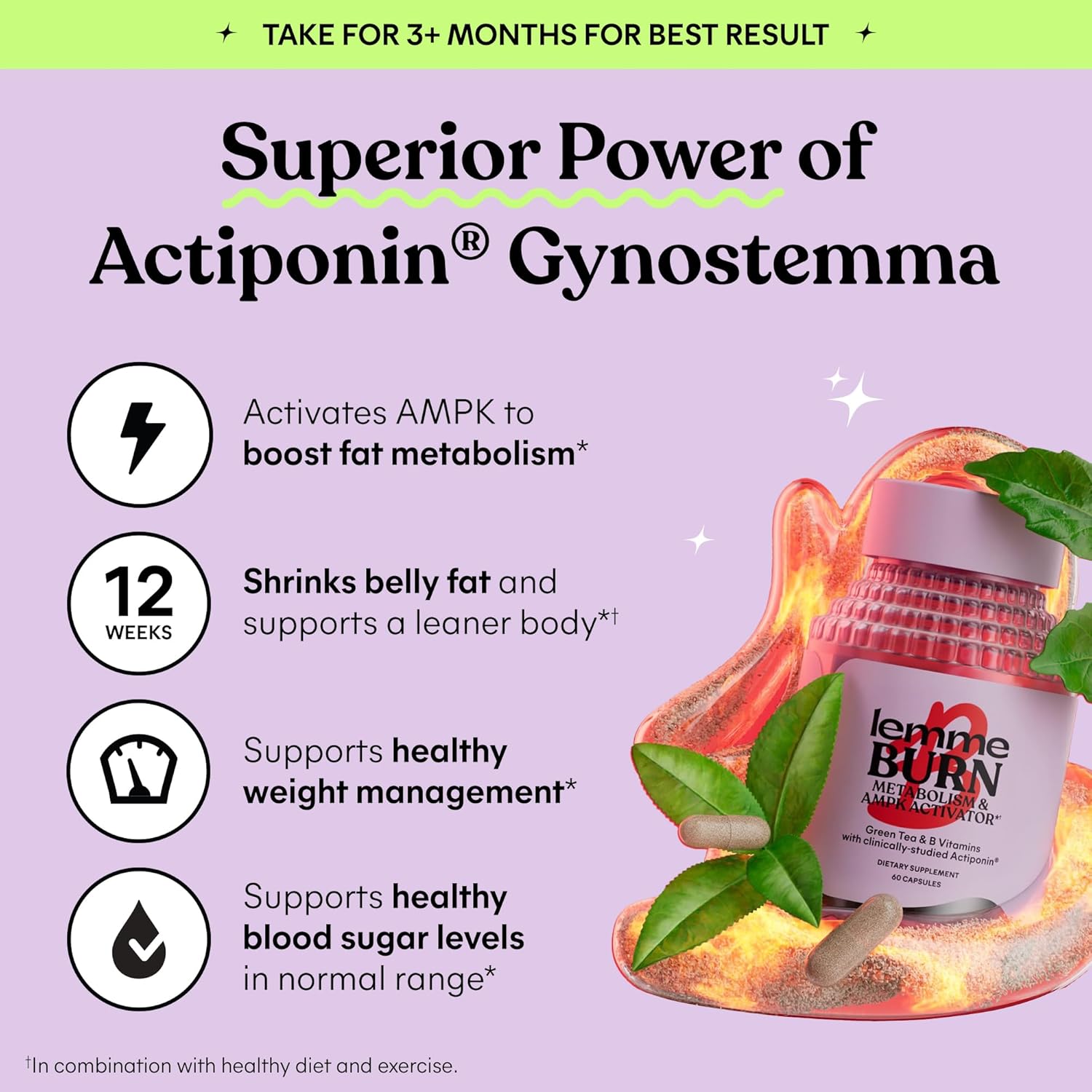 Lemme Burn - Metabolism, Belly Fat Burning + AMPK Activating Supplement for Men & Women w/Clinically Studied Actiponin Gynostemma, Green Tea Extract, Vitamins B6 & B12 - Gluten Free, 60 Count - Image 4