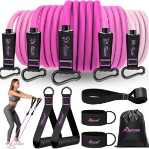 HPYGN Resistance Bands, Exercise Bands with Handles, Fitness Bands, Workout Bands with Door Anchor and Ankle Straps, for Heavy Resistance Training, Physical Therapy, Shape Body, Yoga, Home Workout Set