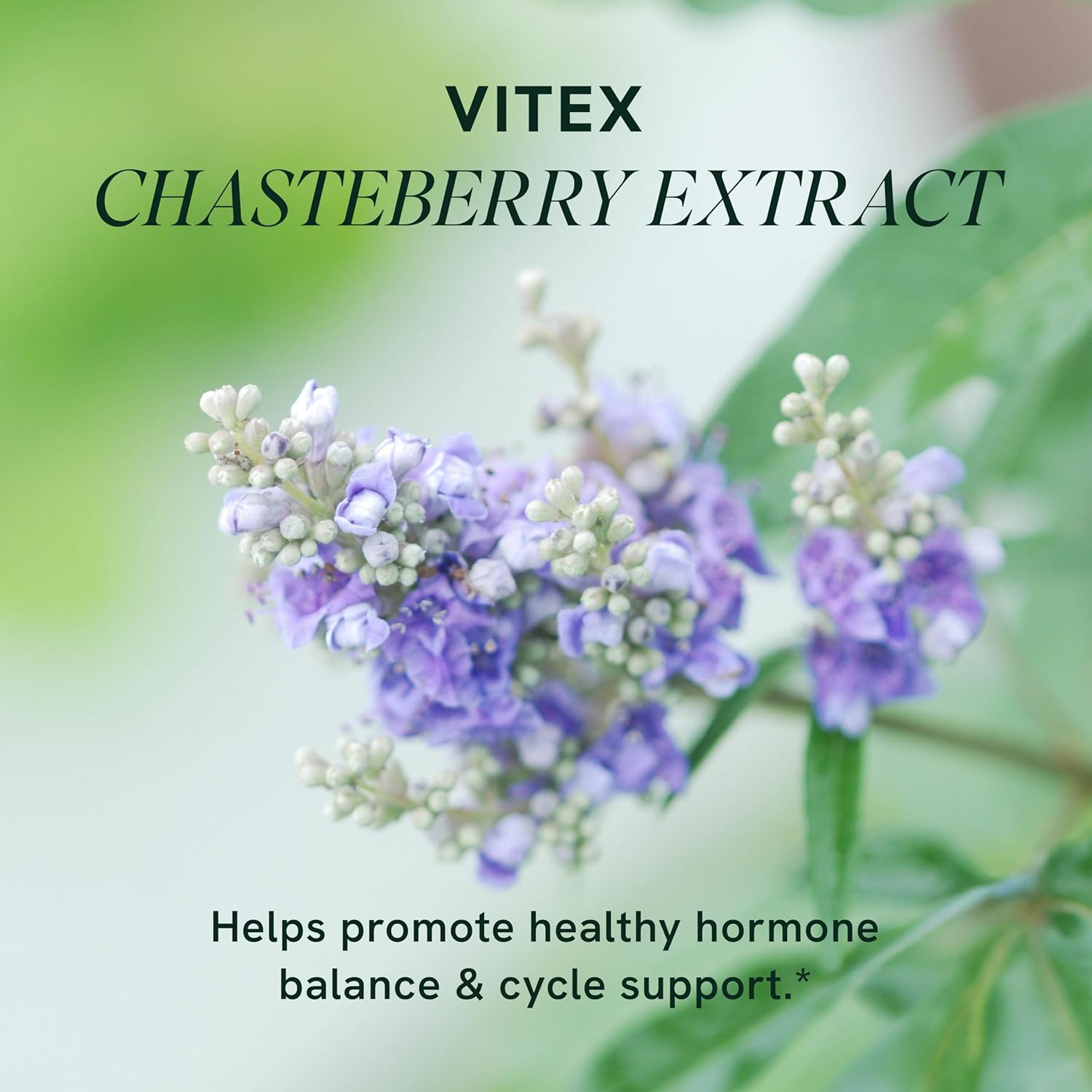 Vitex Chasteberry Supplement 600mg | Agnus Castus for Women's Hormone Balance, Menopause, Menstrual Regularity & Hormonal Acne* | Certified Gluten-Free, Vegetarian | 90 Capsules, 3-Month Supply - Image 3