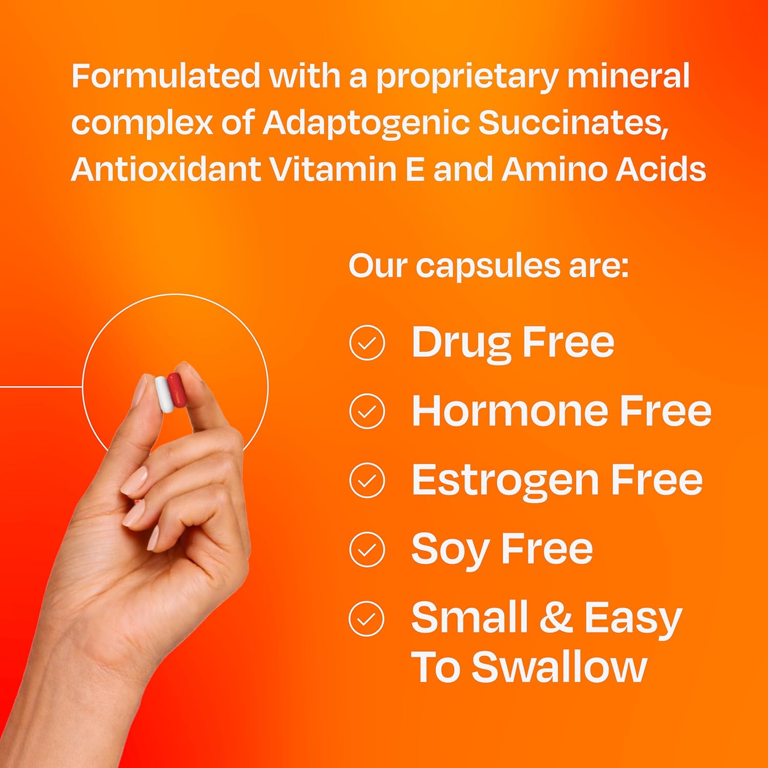 Amberen Menopause Supplement for Women, 60 Capsules, Clinically Proven, Helps Support Hormone Balance, Helps Relieve 12 Menopause Symptoms: Hot Flashes, Night Sweats, Mood Swings and More - Image 6
