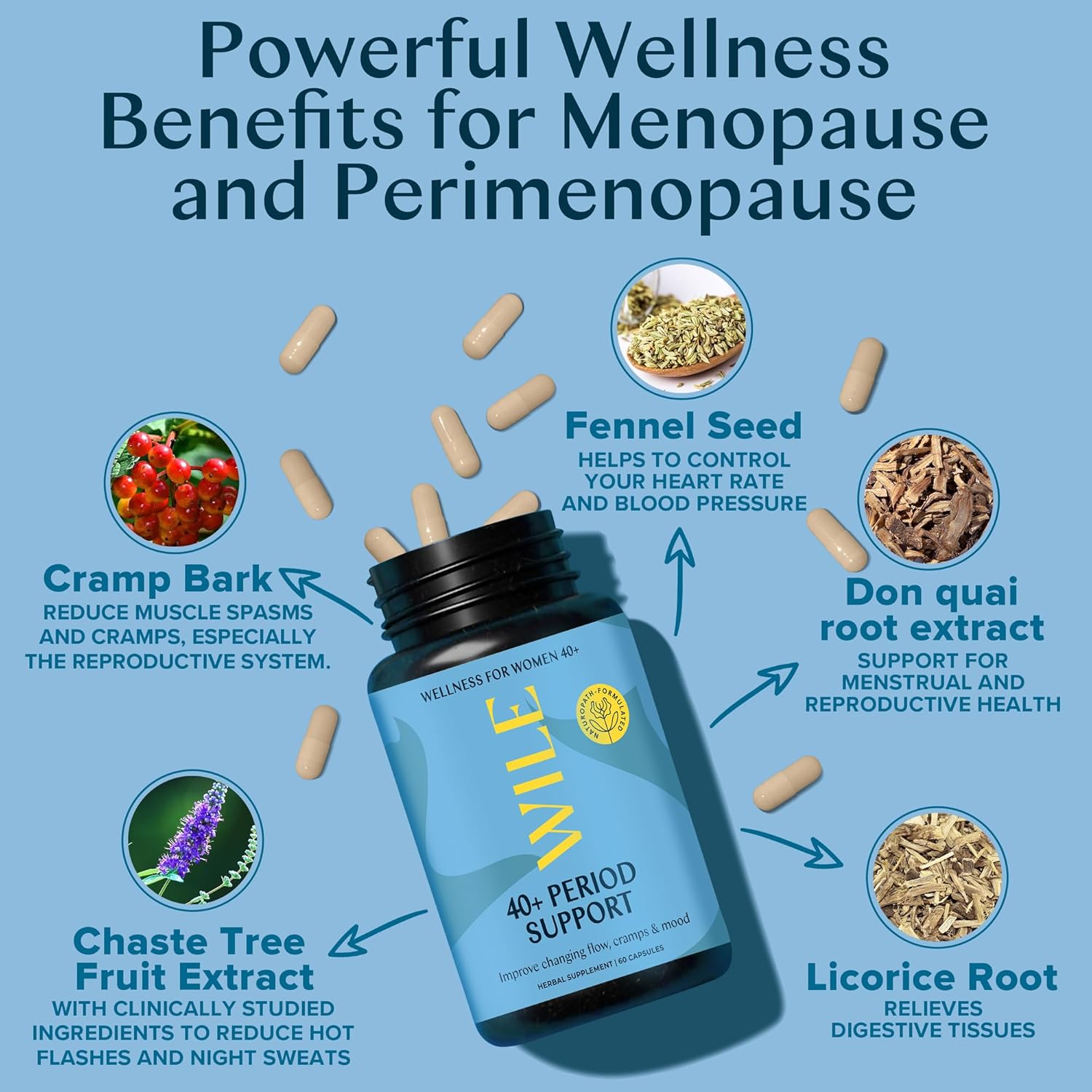 WILE Menopause and Perimenopause Supplements for Women - Menstrual Cramp, PMS and Heavy Period Relief with Dong Quai - Premenopausal Support for Hormone Balance & Improved Mood, Vegan, 30 Servings - Image 3