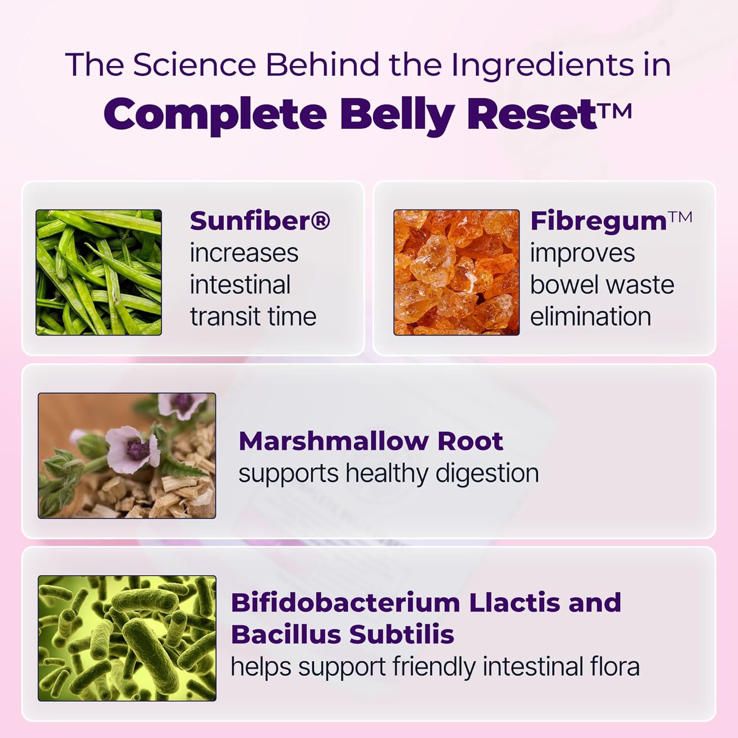 Happy Mammoth Complete Belly Reset Digestive Health Supplement Powder for Men & Women, Supports Gut Health, Reduces Bloating & Gas, Promotes Bowel Regularity, 24 Servings Vanilla Flavor - Image 4
