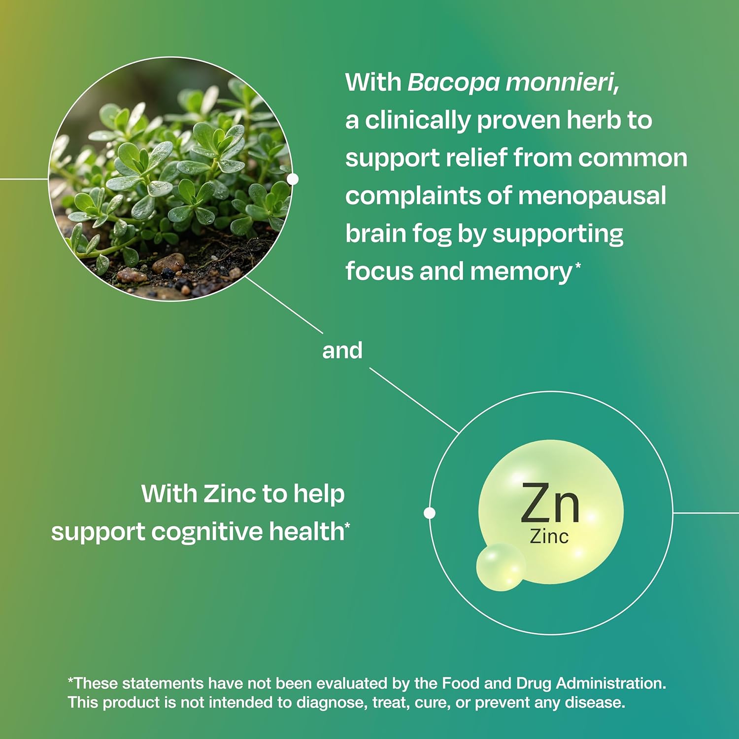 Amberen Find Focus, Menopause Supplement for Women, Clinically Proven Bacopa monnieri supports Mental Clarity, Focus, Cognition, Working Memory & Recall, Hormone & Soy Free, 60 Capsules, 30 Day Supply - Image 7