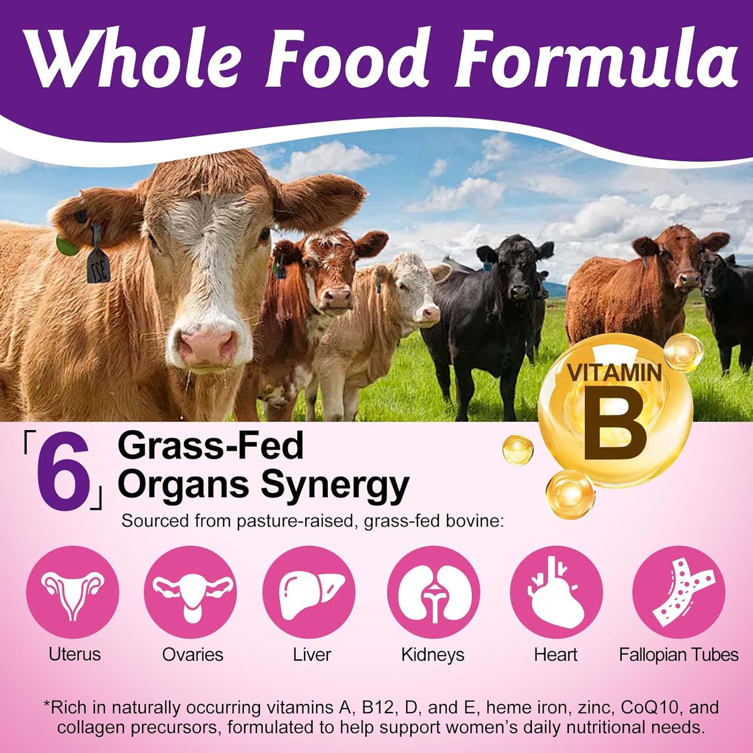 2 Pack Hormone Balance for Women, Female-Optimized Beef Organ Superfood Supplement for Women, PMS Support Supplement, 100% Grass Fed Beef Liver Capsules, Balance Hormones, Energy,Menstrual Cramp,Mood - Image 2