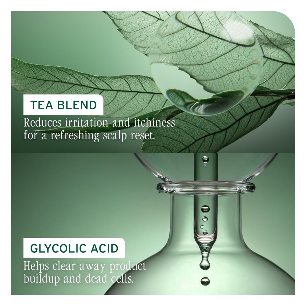 Biolage Scalp Sync Purifying Concentrate - For All Scalp Types, Exfoliating & Clarifying Treatment, Removes Buildup, Refreshing & Reinvigorating, Fermented Tea Blend & Glycolic Acid - Image 7