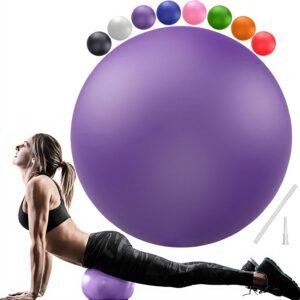 PL-0003 Soft Exercise Ball, Anti-Burst Yoga Ball Chair Supports 2200lbs PL-0003