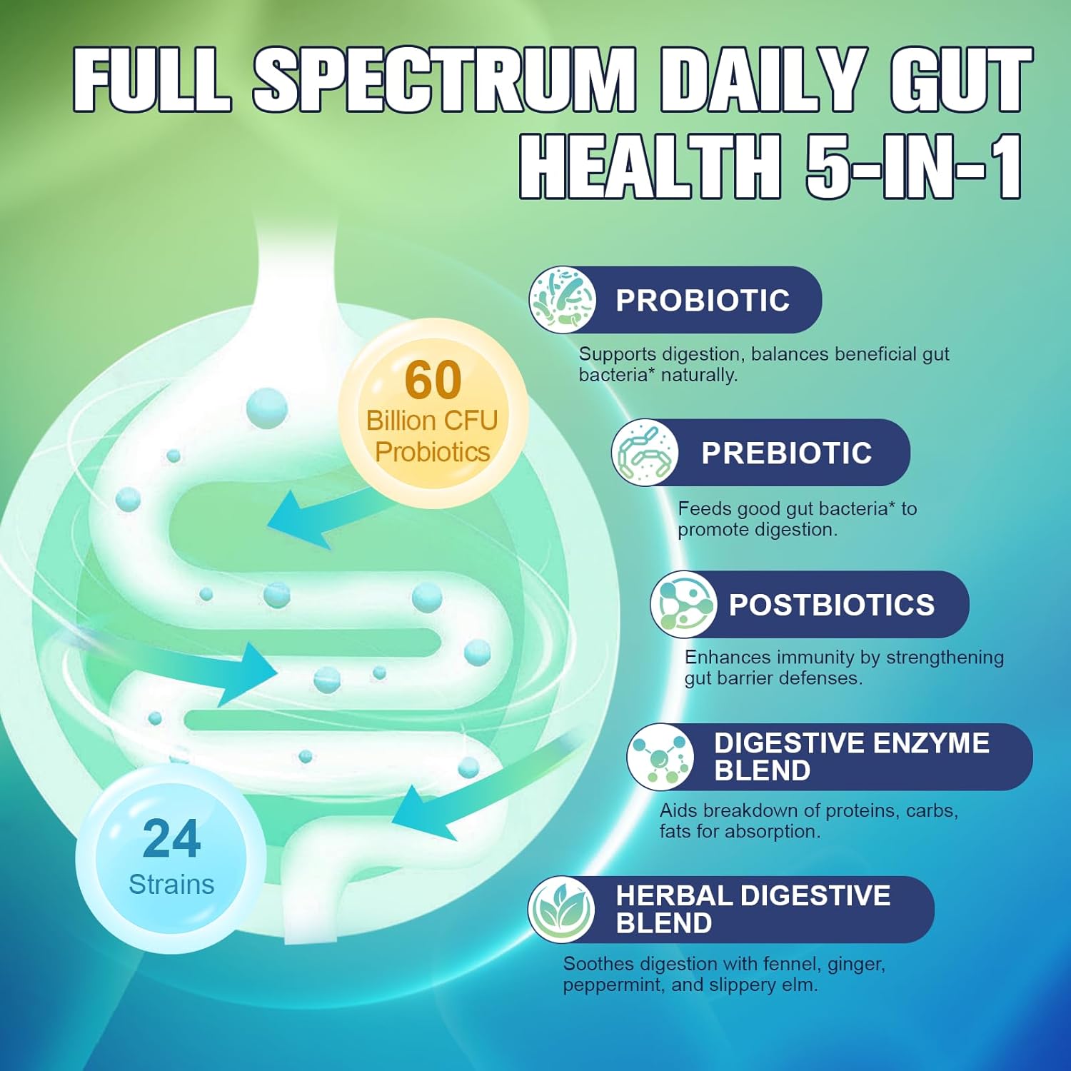 Totaria 5-in-1 60 Billion CFU Probiotic Prebiotic & Postbiotic for Women & Men, w/Digestive Enzymes, Slippery Elm, Daily Complete Gut Health, Digestive & Immune Support, 4 Month Supply, Vegan - Image 5