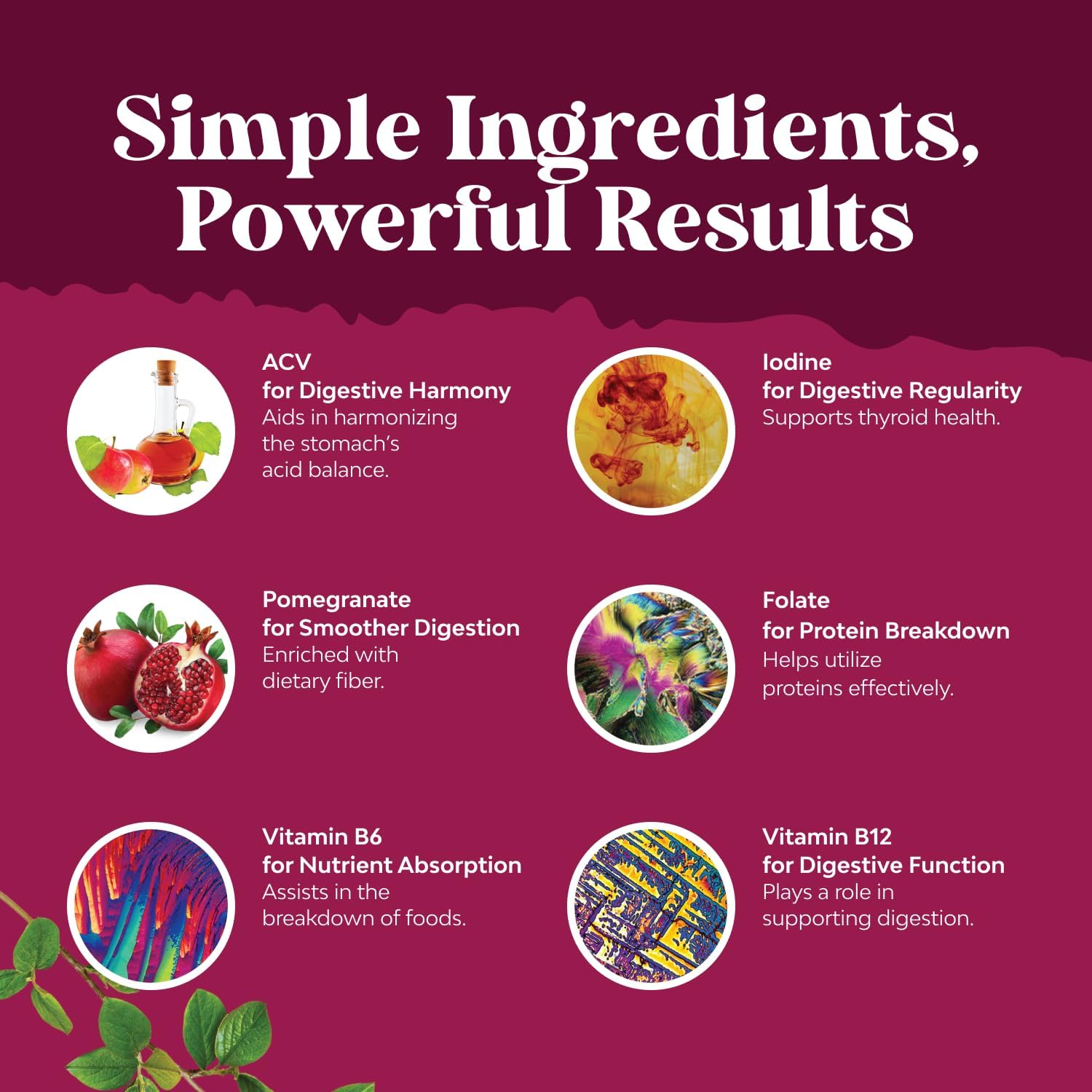 Apple Cider Vinegar Gummies with Mother - Cleanse & Detox ACV Gummies for Weight Loss, Gut Health, Bloating, Metabolism & Energy Support - ACV with Mother with B12 Vitamin, B6 & Pomegranate - 60 Ct - Image 6