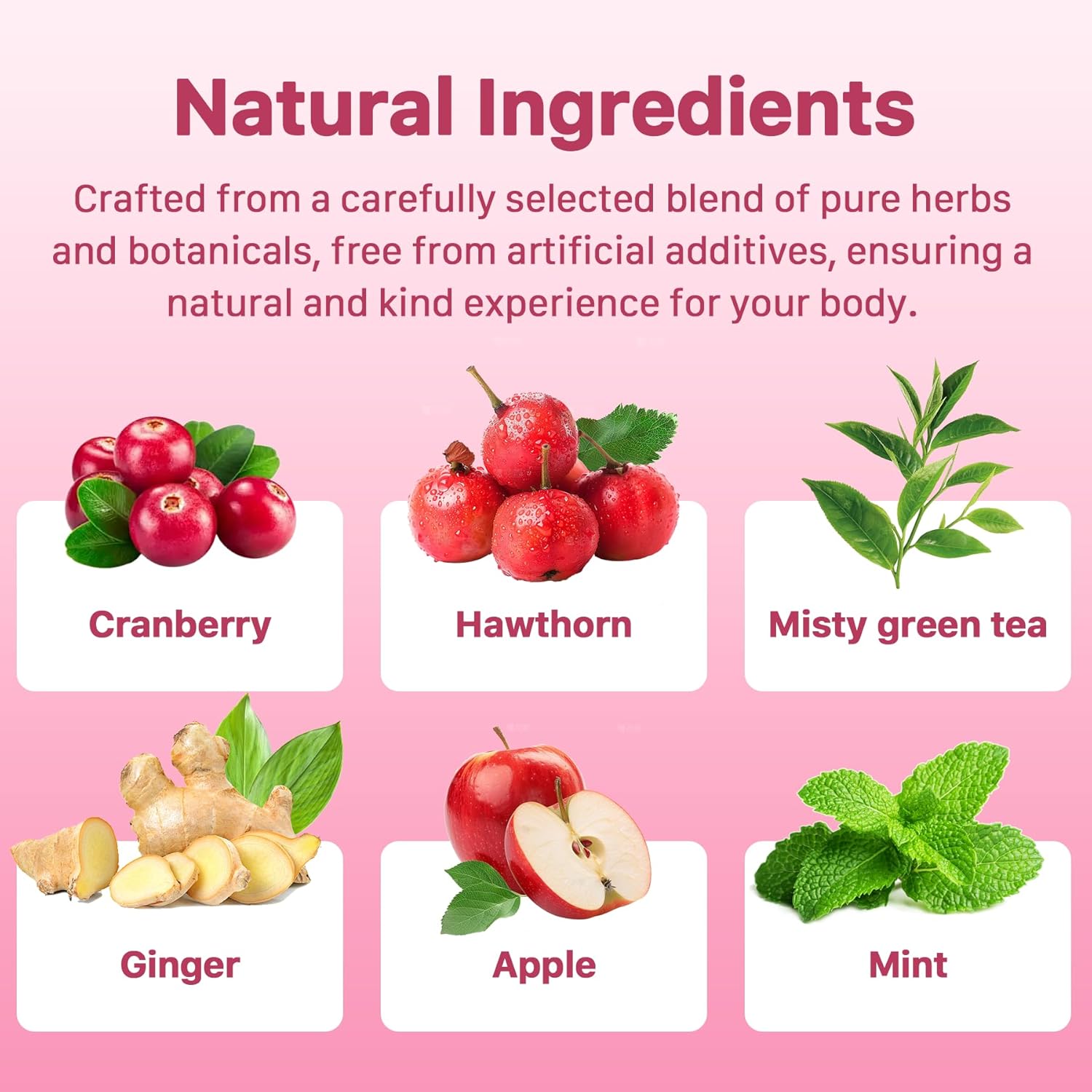 Auranic Menopause Support Herbal Tea - Natural Hormone Balance for Women, Relief for Women Multi-Symptom with Alleviates Hot Flashes, Night Sweats & Mood Swings, Menopause Comfort Teabags - Image 2