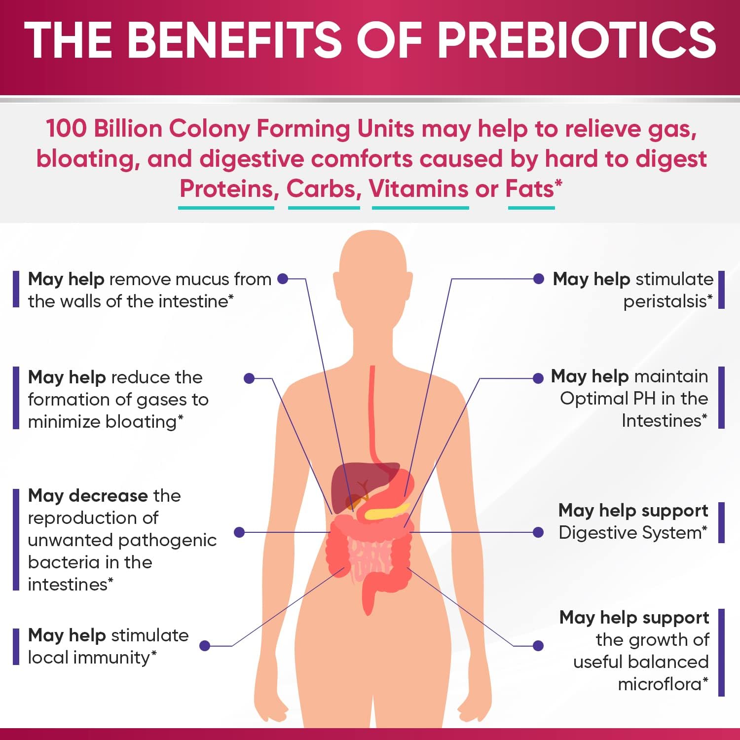 Wholesome Wellness Dr. Formulated Raw Probiotics for Women 100 Billion CFUs Capsules with Prebiotics, Digestive Enzymes, Approved for Adults, Shelf Stable Supplement - Image 6