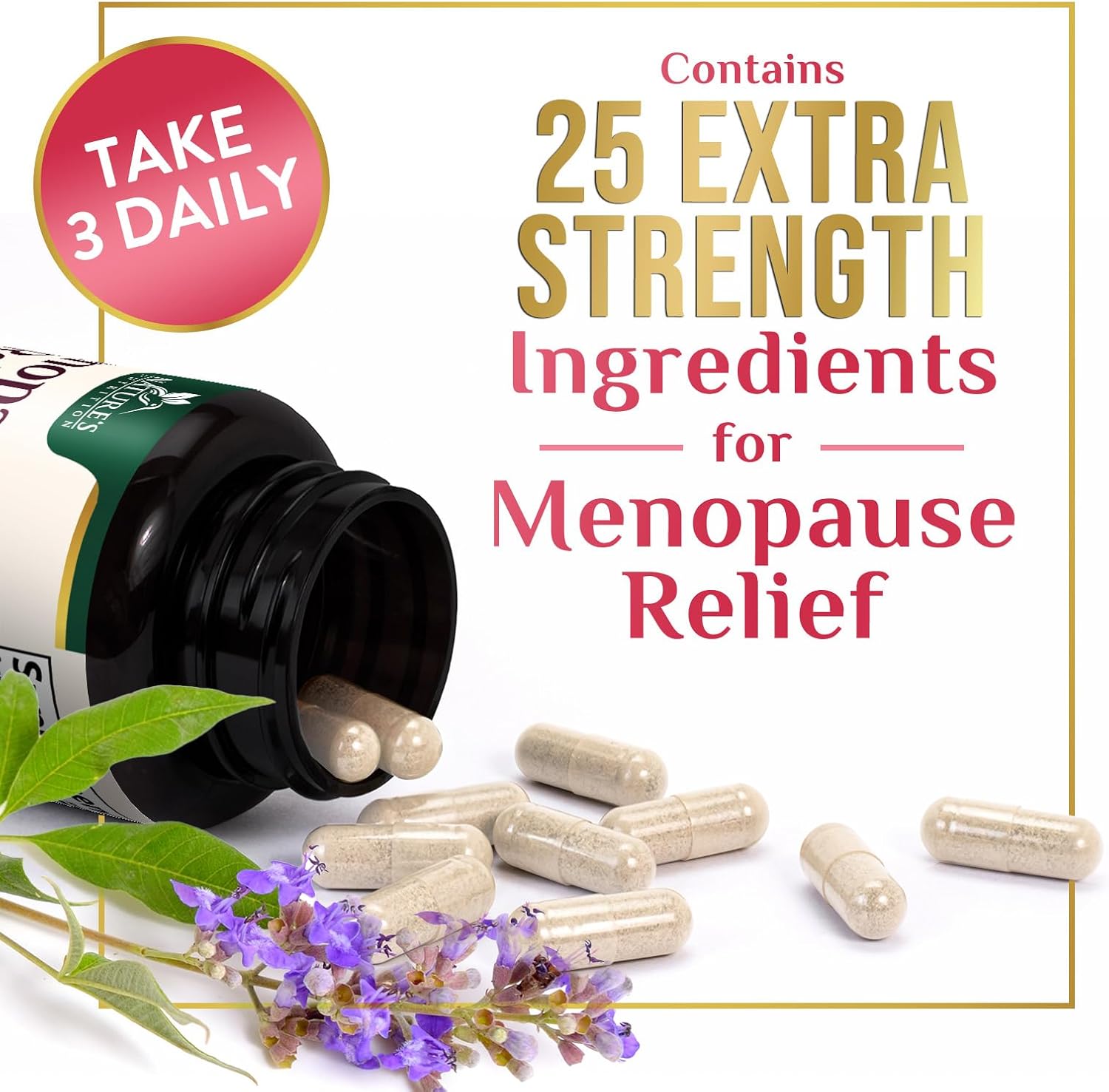 Menopause Supplement for Women - Natural Menopause Relief Support for Mild Hot Flashes & Night Sweats - Best Probiotics for Women, Dong Quai, Black Cohosh, Ashwagandha - Bottled in USA - 120 Capsules - Image 6