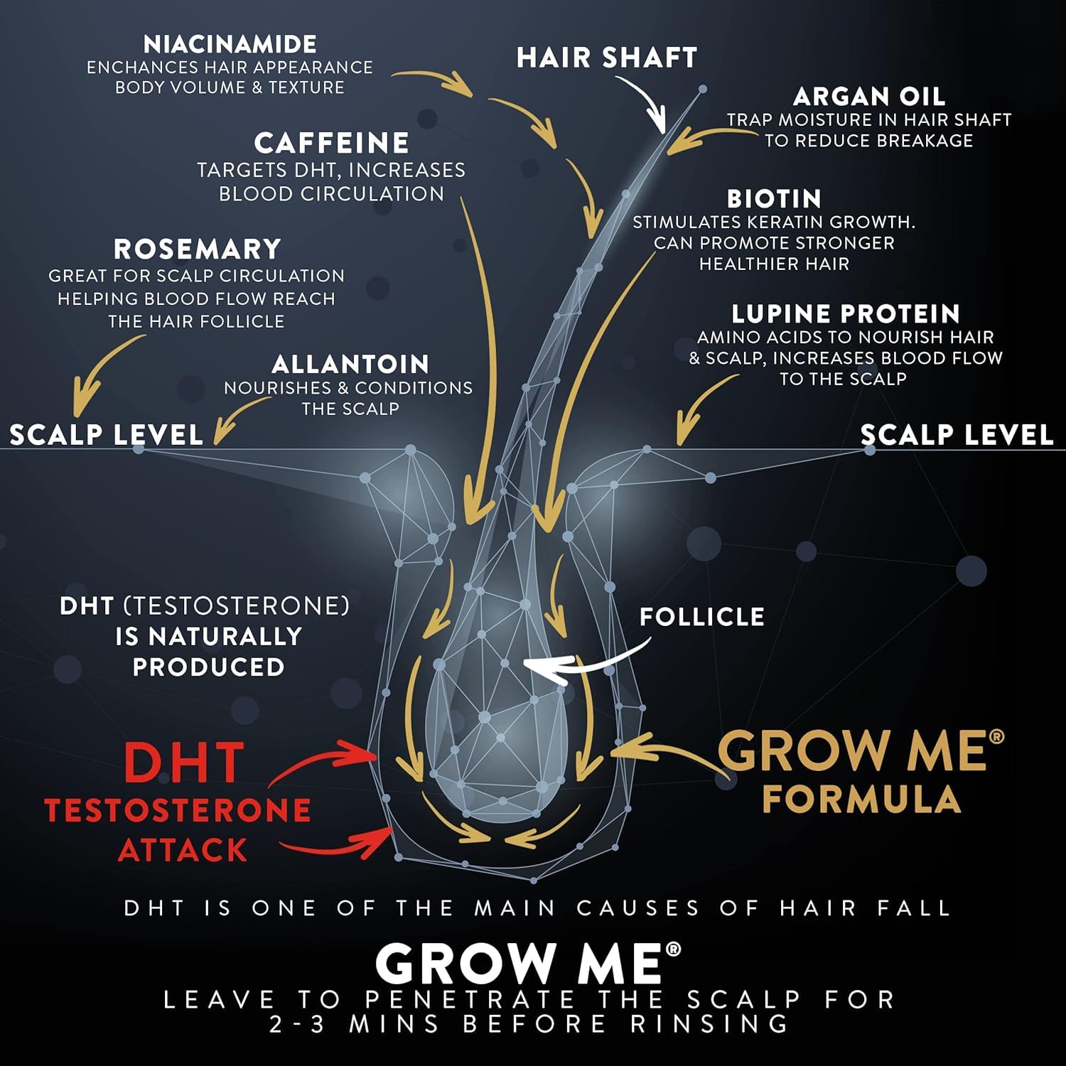 Watermans Grow Me Organic Hair Growth Shampoo for Men & Women – Strengthening & Moisturizing with Biotin, Rosemary, Caffeine & Argan Oil for Fuller, Thicker-Looking Hair (8.45 fl oz) - Image 3