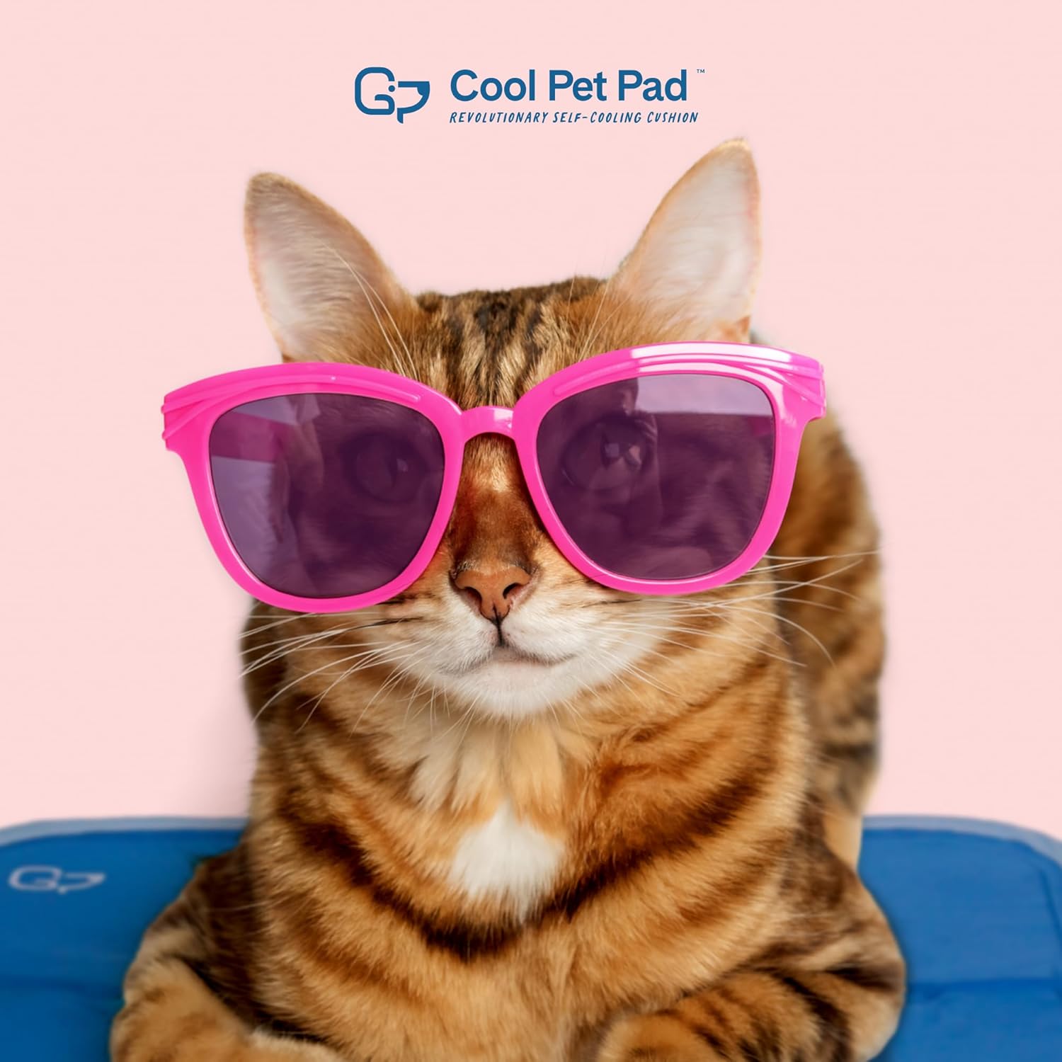 The Green Pet Shop Cool Pet Pad - Large, Blue - Self-Cooling, Pressure Activated Mat for Dogs & Cats from 46-80 lbs - Non-Toxic Gel, No Water Needed - Image 6