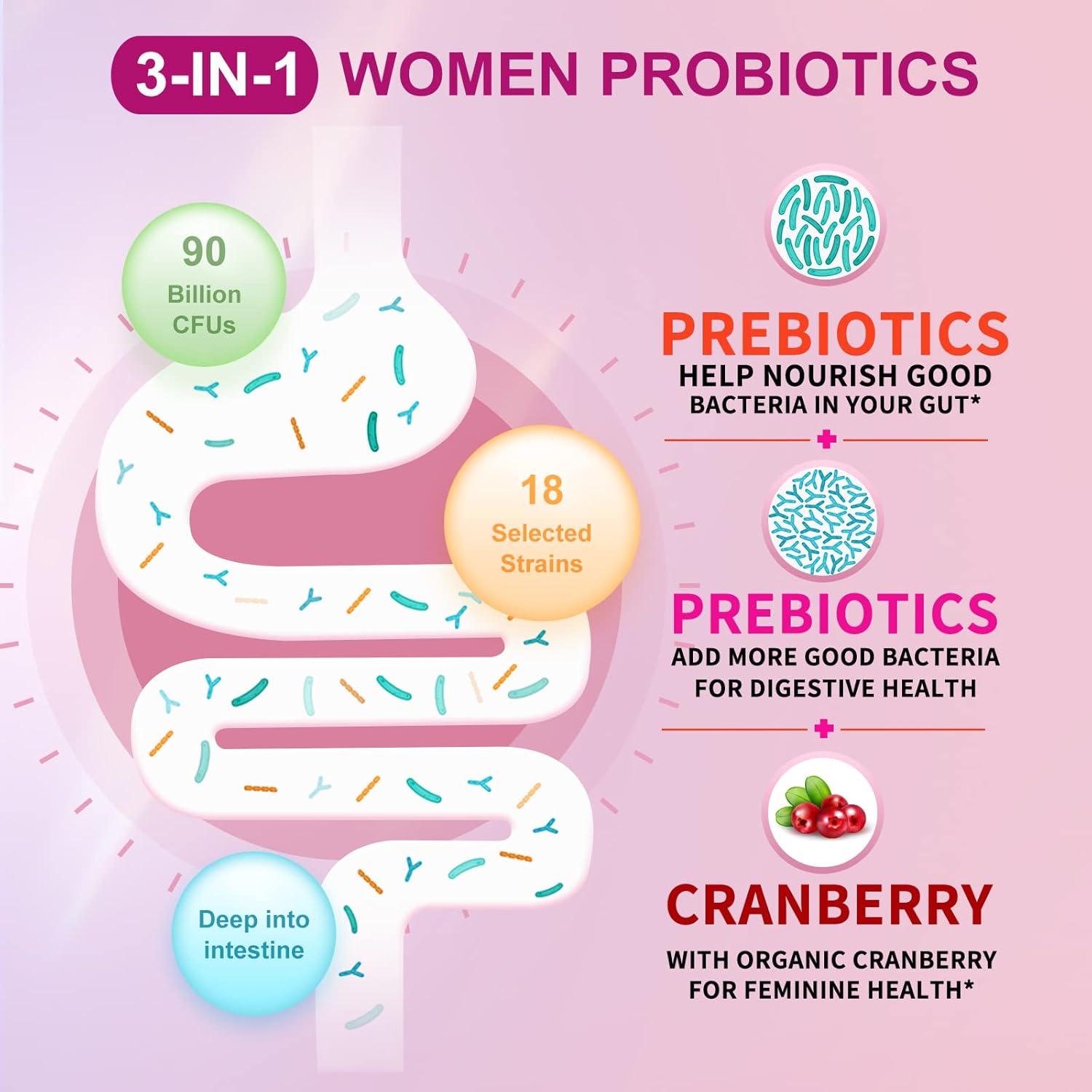 OMOGS Women's Probiotic, with Cranberry Extract, Organic Prebiotics & Vitamin C, 90 Billion CFUs,18 Strains, Help for Boost Immune, Digestive, Gut Health & Women's Health, Gluten & Soy Free,90 Tablets - Image 3