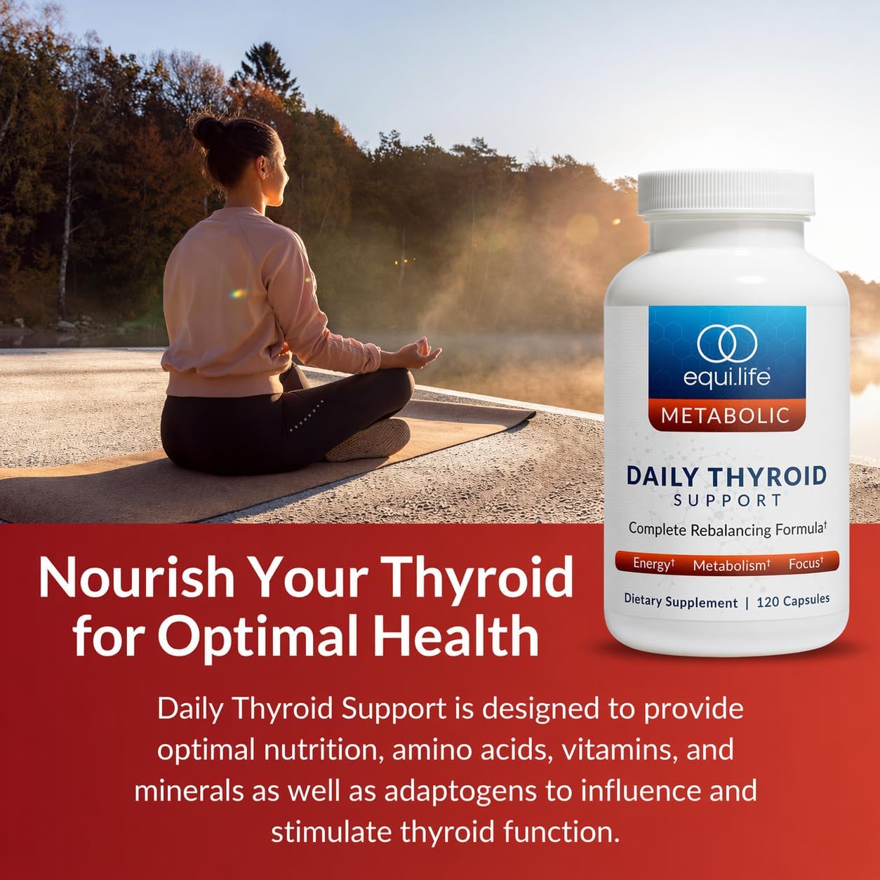 EquiLife Daily Thyroid Support Supplement for Women and Men – Aids Healthy Thyroid Function, Assisting in T4 to T3 Conversion, Supports Healthy Stress Response, Antioxidants & Adaptogens, 120 Capsules - Image 6