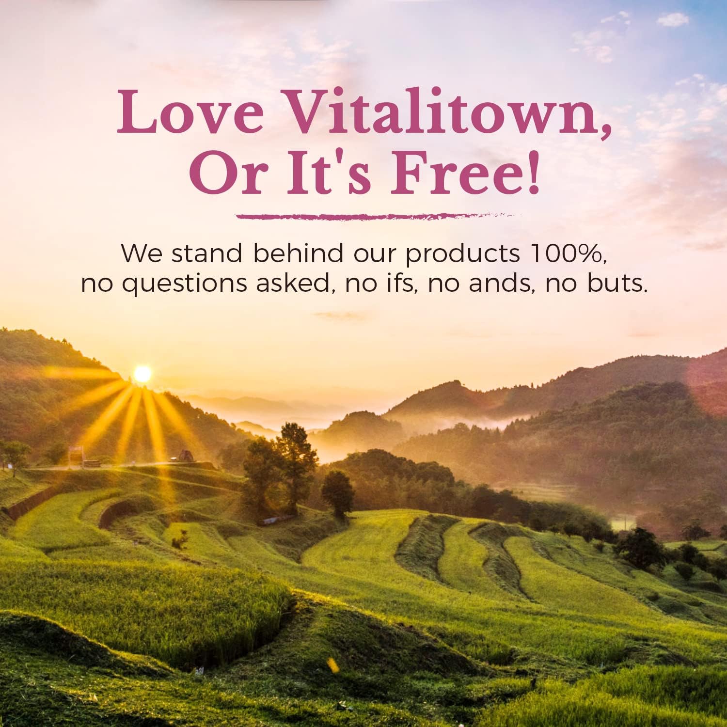 Vitalitown Probiotics for Women 120 Billion CFUs, 30 Strains, with Prebiotics & Digestive Enzymes & Cranberry, Gut & Vaginal Health, Vegan 30 (Pack of 1) Delayed Release Caps - Image 9