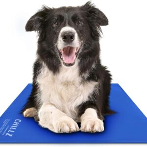 The Green Pet Shop Chillz Gel Mat, Large - Pressure-Activated Cooling Pad for Pets 25-50 lbs - Non-Toxic, No Water or Refrigeration Needed - Ideal for Home, Travel & Crates