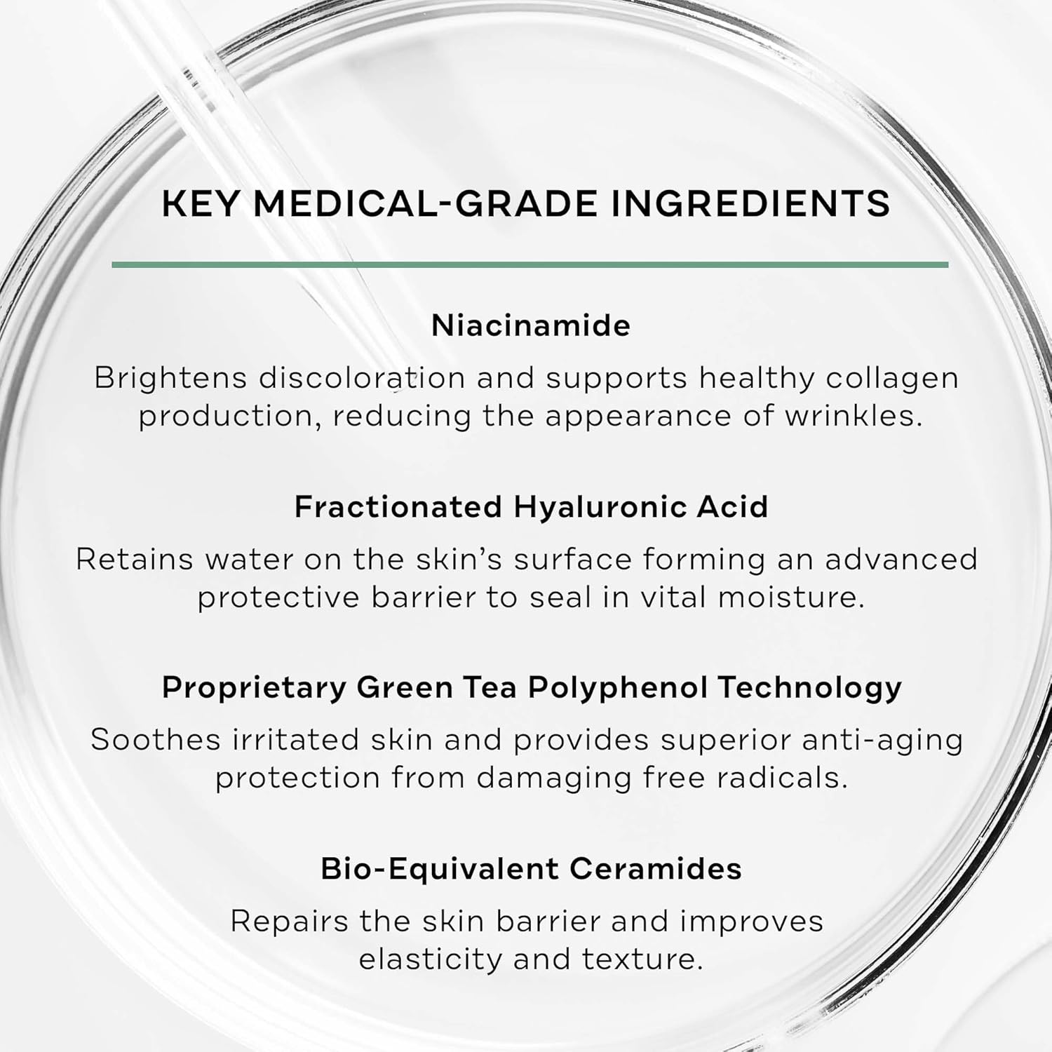 Replenix Age Restore Brightening Face Moisturizer with Hyaluronic Acid, Niacinamide & Ceramides, Medical-Grade Oil-Free Facial Cream for Mature Skin (1.7 oz) - Image 3