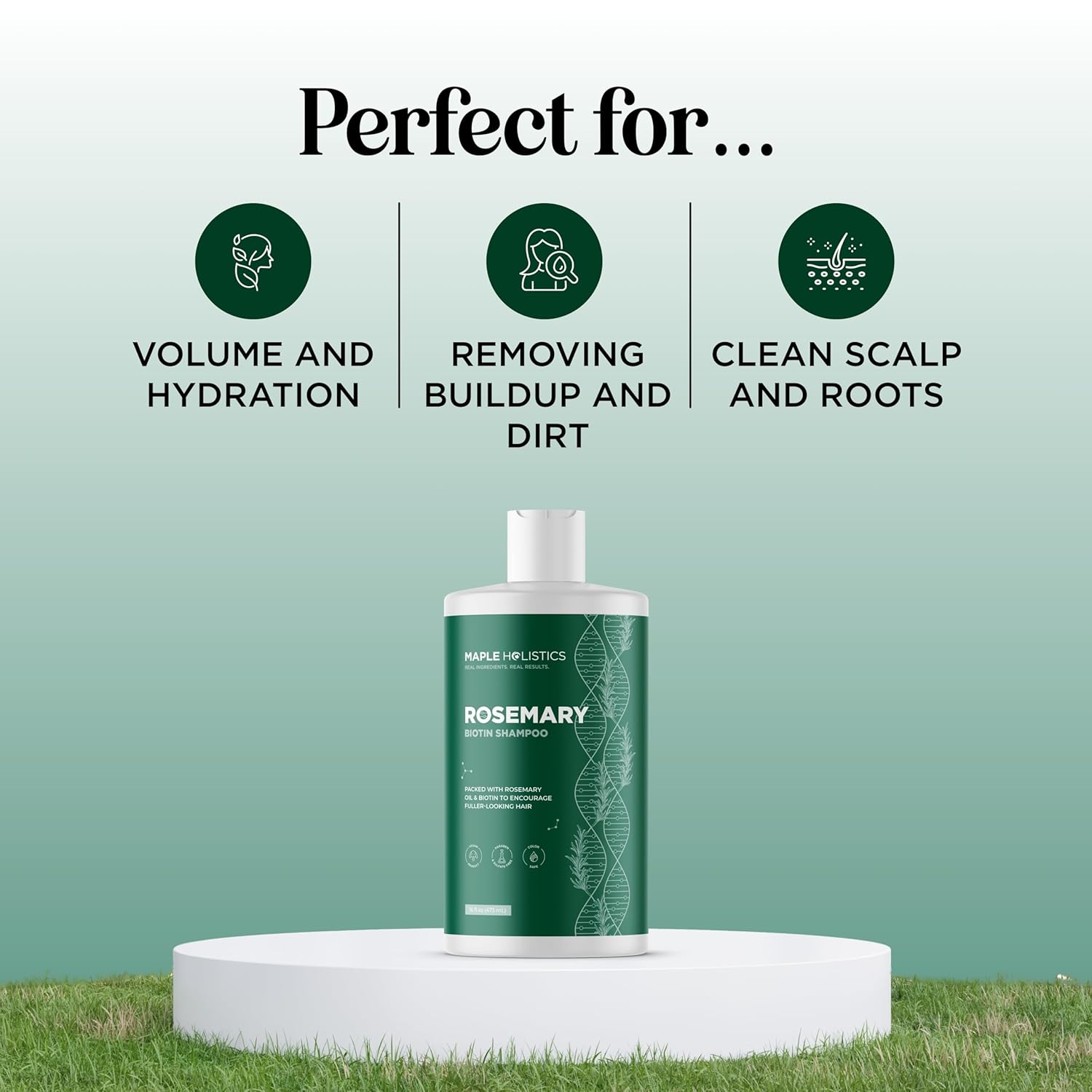 Volumizing Biotin and Rosemary Shampoo - Vegan Rosemary Biotin Shampoo for Thinning Hair for Women and Men with Nourishing B Vitamins & Tea Tree Oil - Paraben Silicone & Sulfate Free (16 Fl Oz) - Image 3