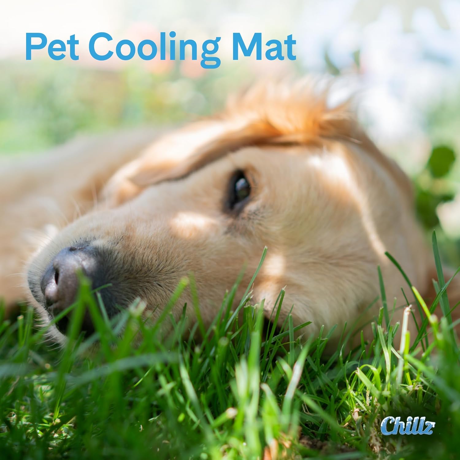 The Green Pet Shop Chillz Gel Mat, Large - Pressure-Activated Cooling Pad for Pets 25-50 lbs - Non-Toxic, No Water or Refrigeration Needed - Ideal for Home, Travel & Crates - Image 3