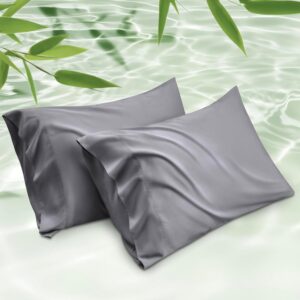 Bedsure Cooling Pillow Cases Queen – Bamboo-Derived Rayon Pillowcase Set (2 Pack, 20×30"), Soft Breathable Pillow Covers with Envelope Closure