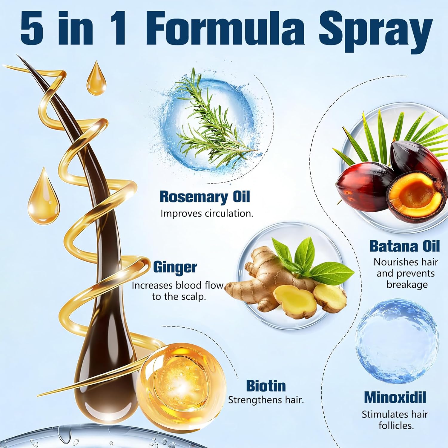 5% Minoxidil for Men and Women Hair Growth, Hair Loss Treatments Serum with Biotin Batana and Rosemary, Minoxidil Hair Growth Spray for Stronger Thicker Fuller Hair Beard Regrowth, 3 Bottles - Image 2