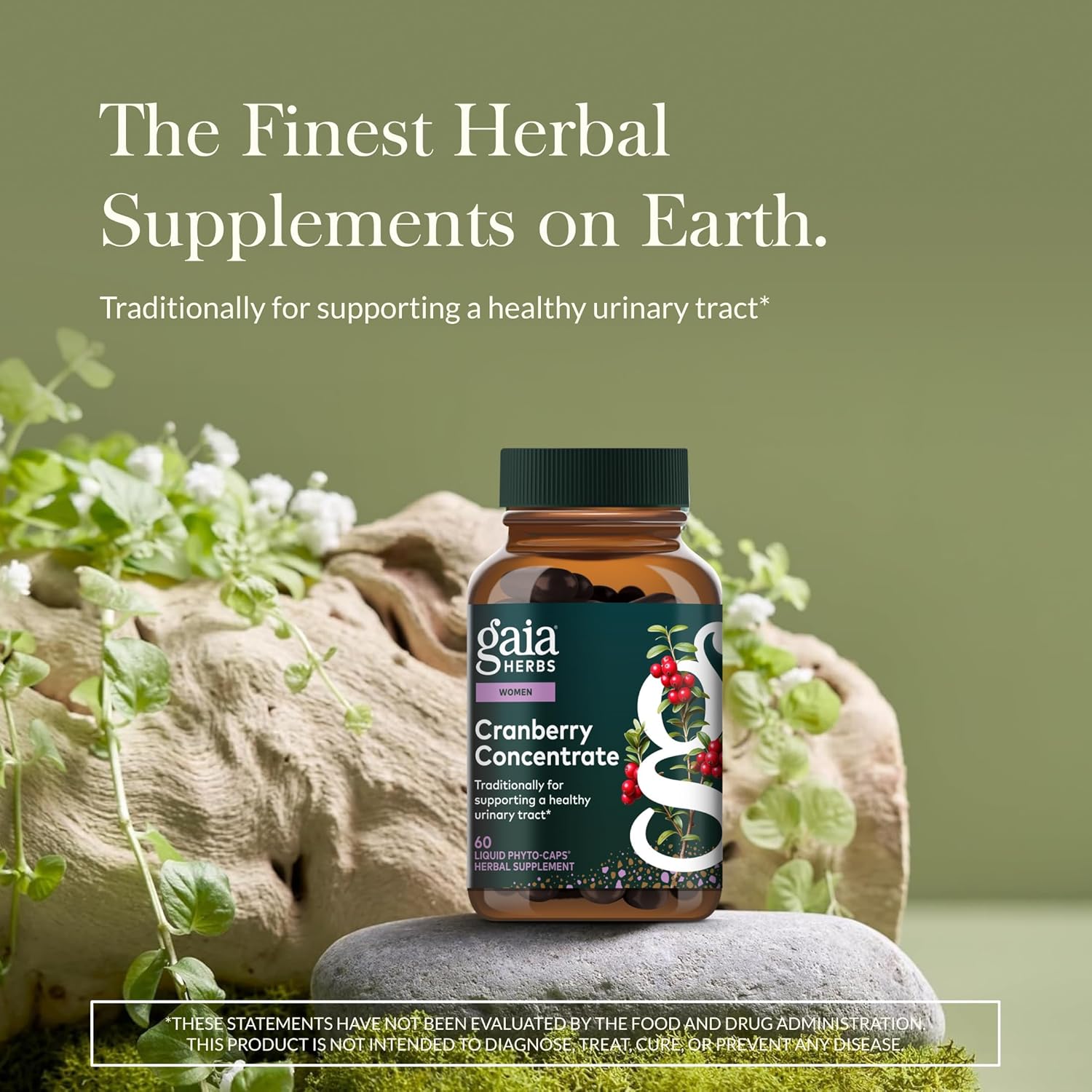 Gaia Herbs Cranberry Concentrate - Traditionally for Helping to Maintain Urinary Tract Health* - Made with Cranberry Fruit Juice Concentrate - 60 Vegan Liquid Phyto-Caps (60 Servings) - Image 2