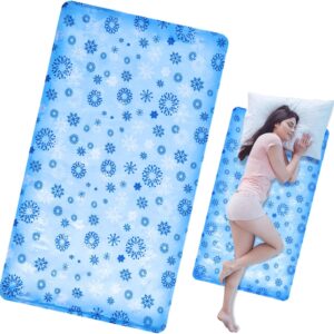 Drydiet Cooling Pad Mat for Sleep Cooling Mattress Pad Gel for Bed 48 x 28 Inch Relieve Pain, Summer Hot Flashes, Adult, Pets, No Water or Electricity Required for Home Travel Crate Kennel Sofa Floor