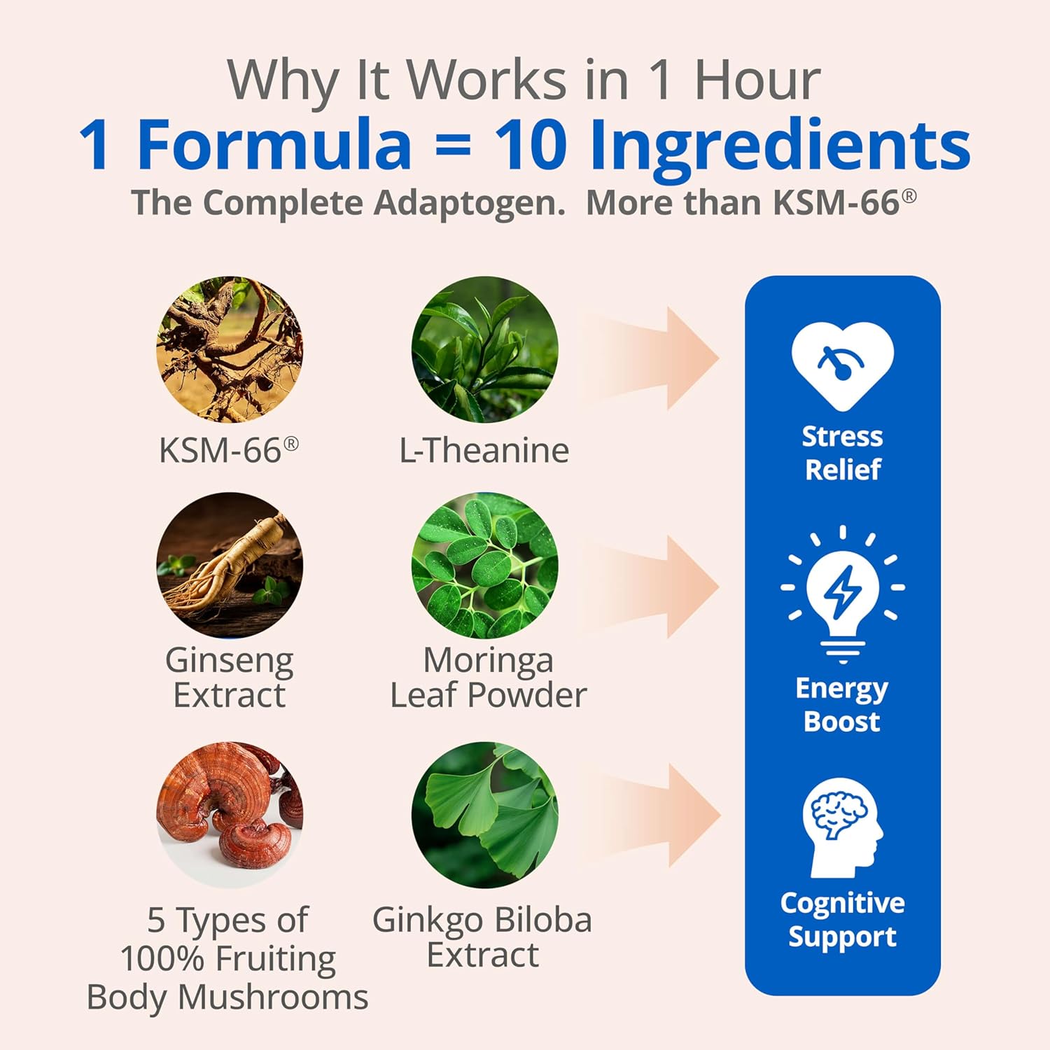 KSM-66 Ashwagandha Supplements, Ashwagandha Root Extract for Women & Men, 10-in-1 Adaptogen Complex for Cortisol Manager, Stress, Energy & Immune Support, 60 Vegan Capsules - Image 3