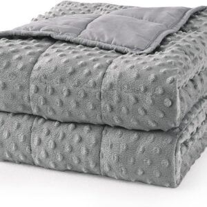 Mr. Sandman Weighted Blanket for Adults Queen Size 15 lbs, Soft Cooling Heavy Minky Blanket for Sleep, Washable Throw Blanket with Glass Beads, 60 x 80 Inches, Grey