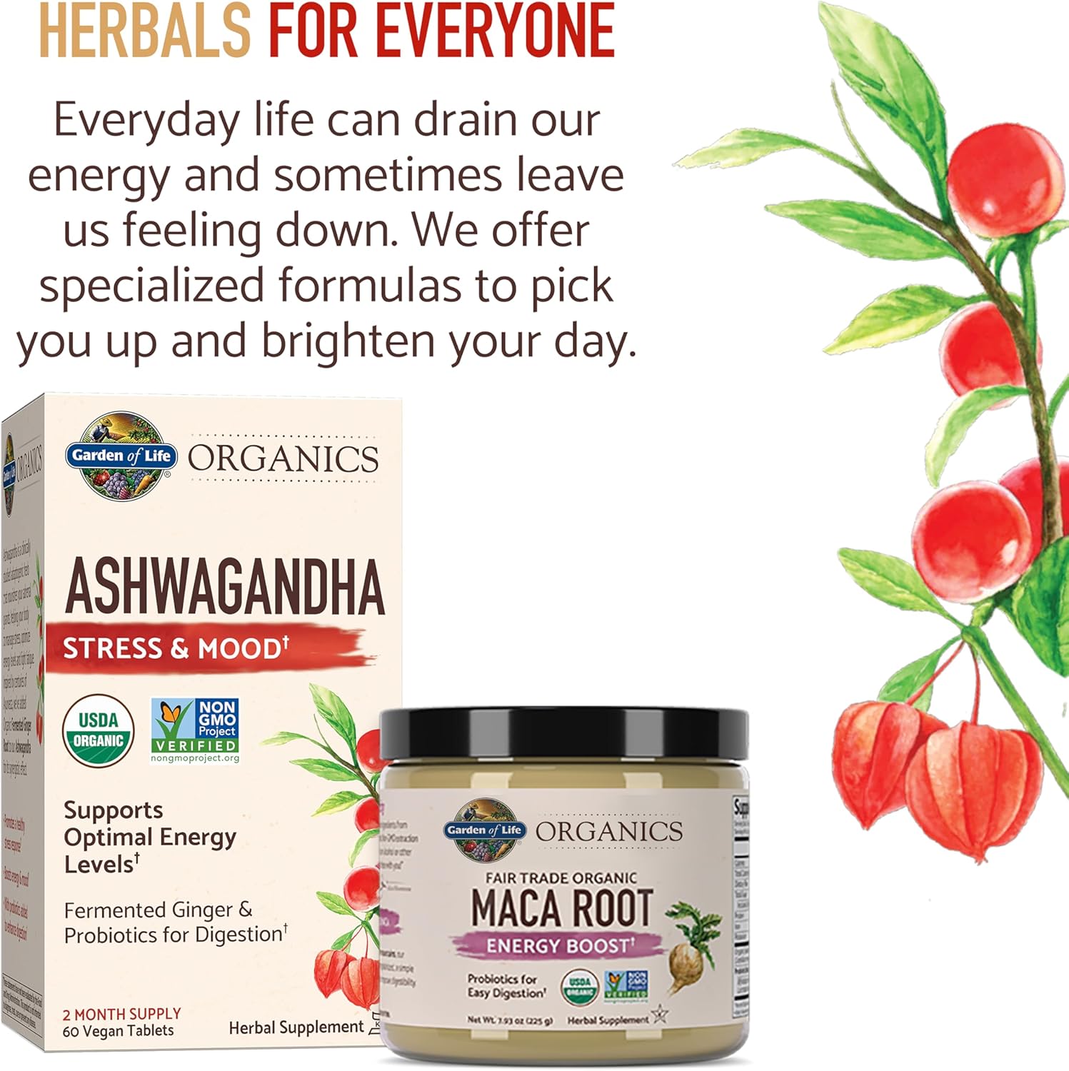 Garden of Life Organic Ashwagandha Supplement with Probiotics & Ginger - Stress, Mood & Energy Support, Vegan, Gluten Free, Non GMO, 2 Month Supply, 60 Tablets - Image 8