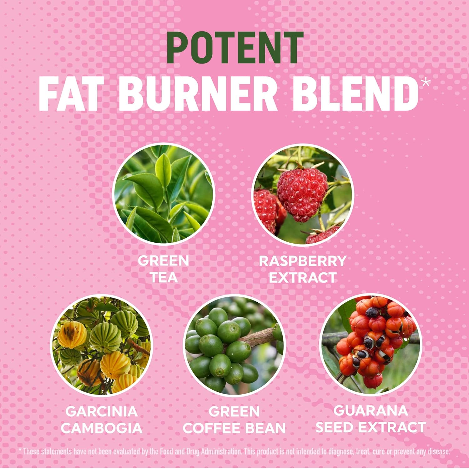 Women’s Fat Burner Gummies for Weight Loss | Green Tea, Green Coffee Bean, Garcinia Cambogia & Ketones | Fat Burners for Women Weight Loss Gummies | Green Tea Fat Burner Supplements | 60 Count - Image 3